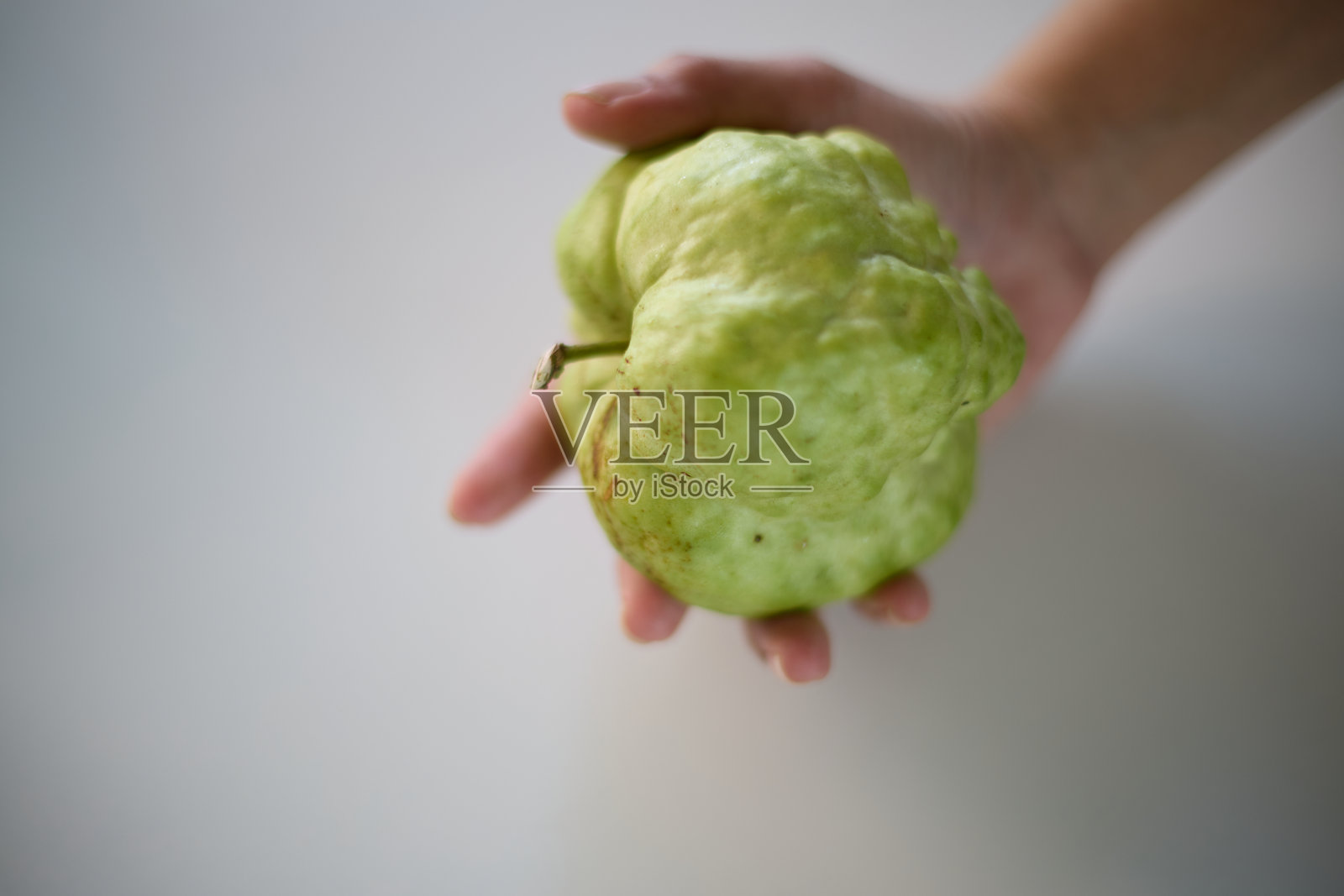 手中拿着不完美的番石榴，背景为白色照片摄影图片