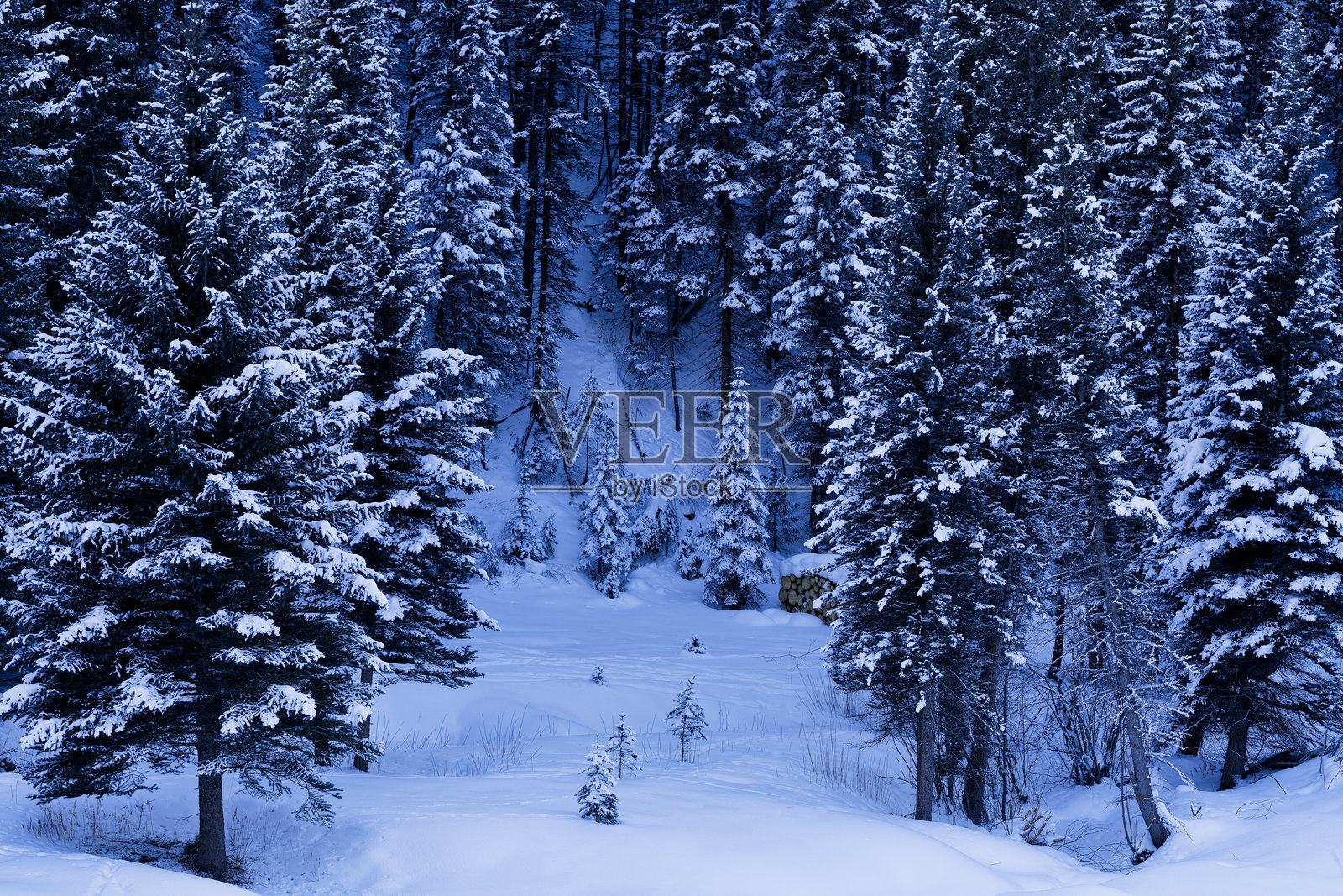 冬季雪山森林照片摄影图片