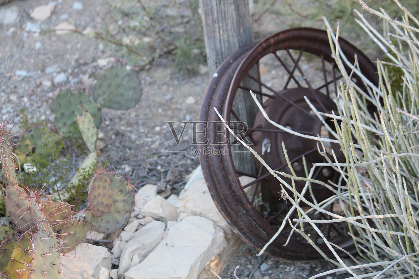 特林瓜鬼镇照片摄影图片
