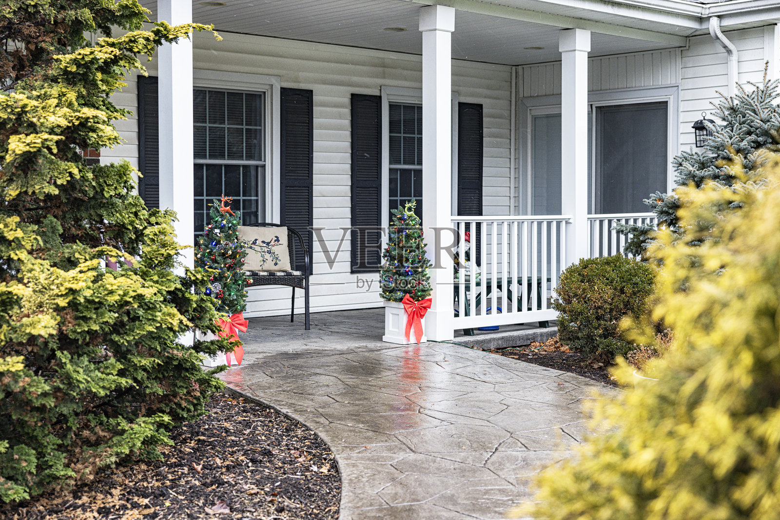 户外圣诞树装饰着除了雪以外的一切照片摄影图片