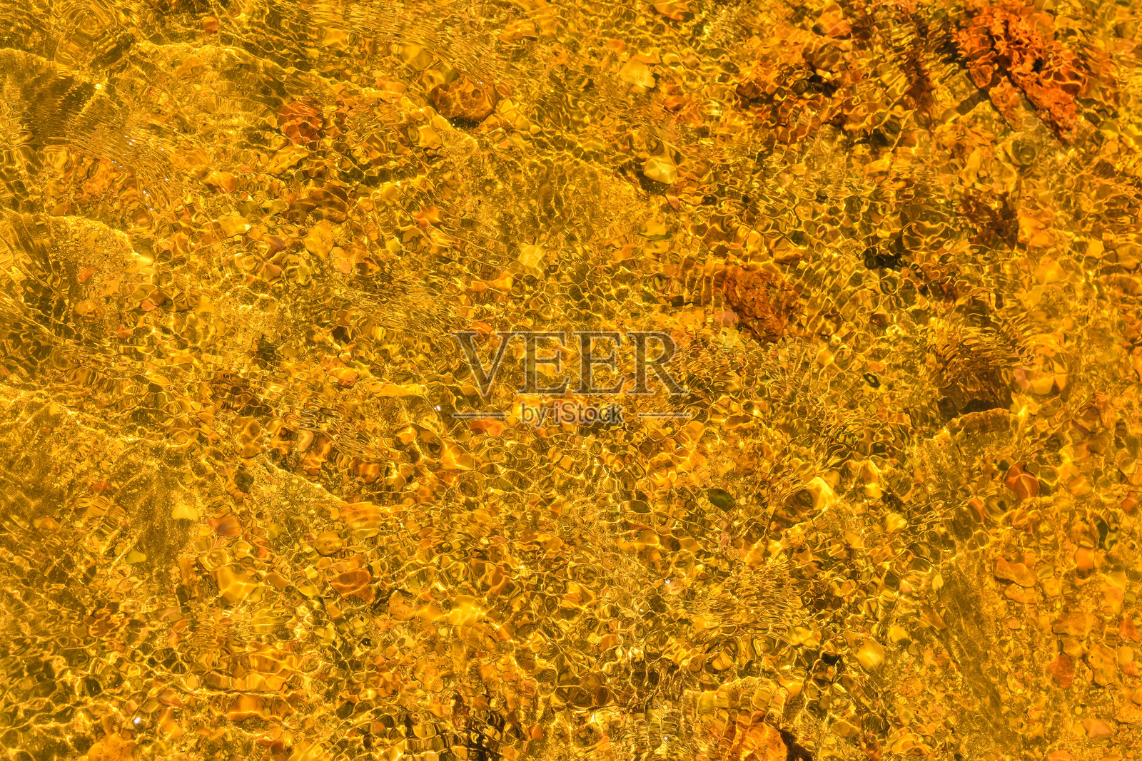 贾帕拉廷加海滩上的贝壳和沙子照片摄影图片