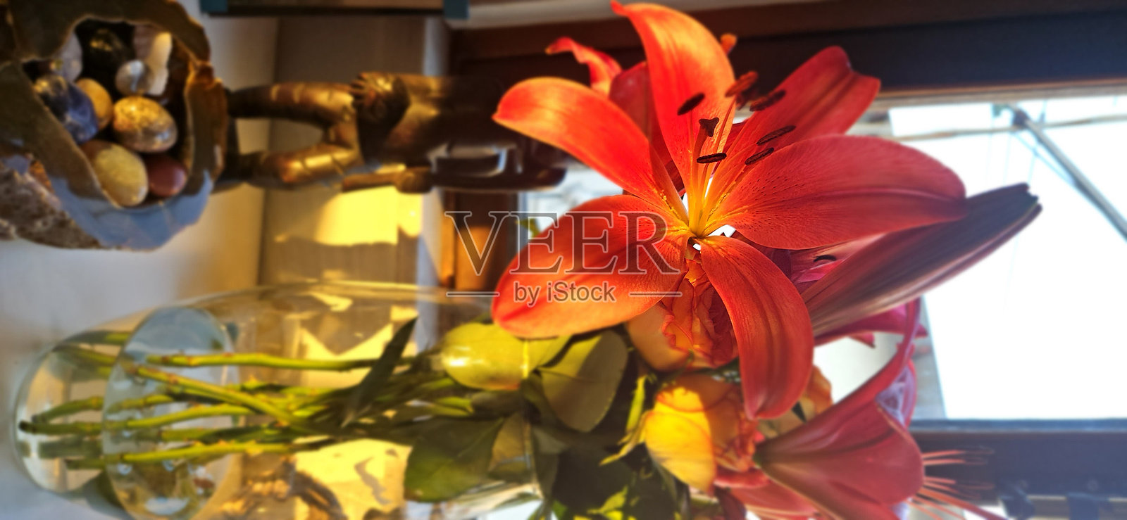 连接照片摄影图片