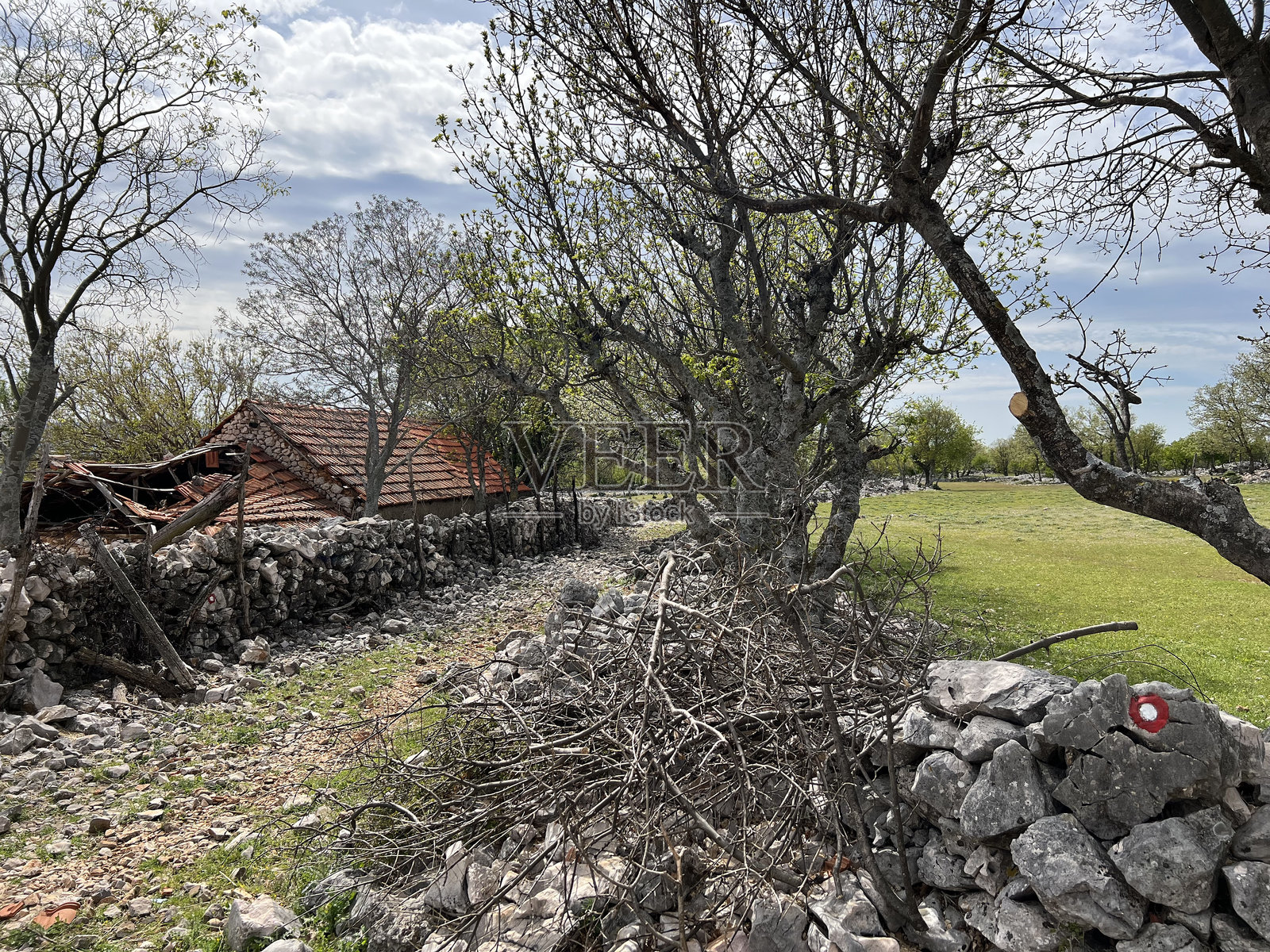 沿河的徒步小径和克鲁帕峡谷的标记（韦莱比特自然公园，克罗地亚）照片摄影图片
