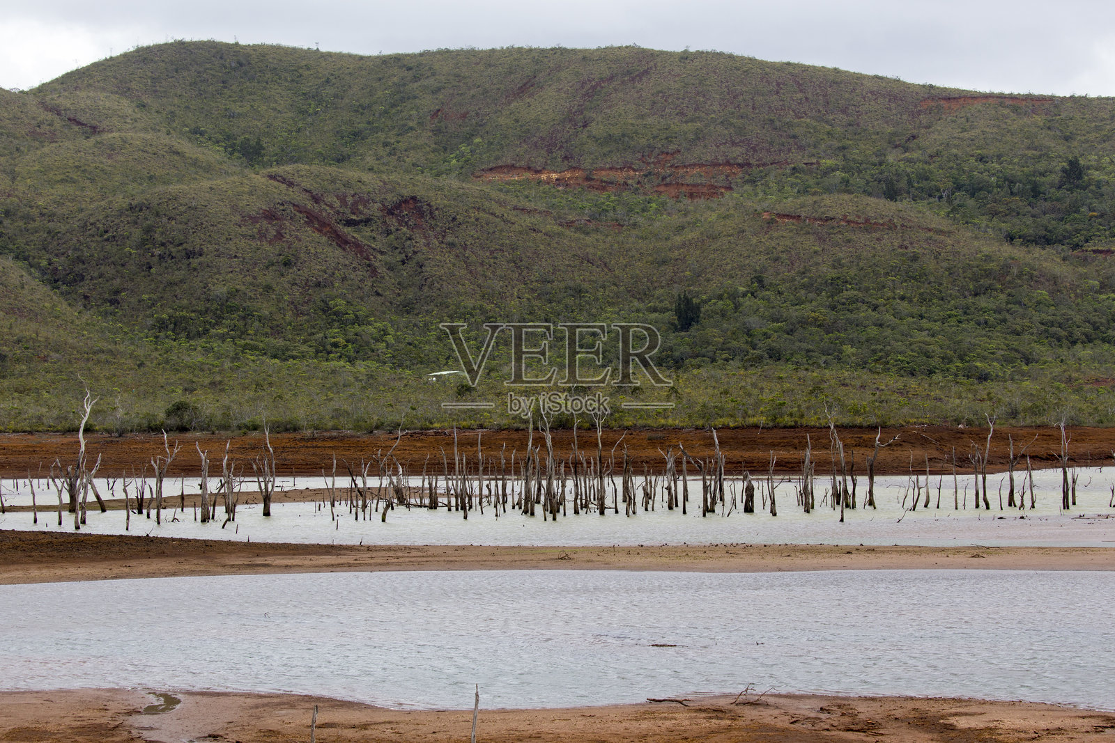 蓝河省立公园的风景照片摄影图片