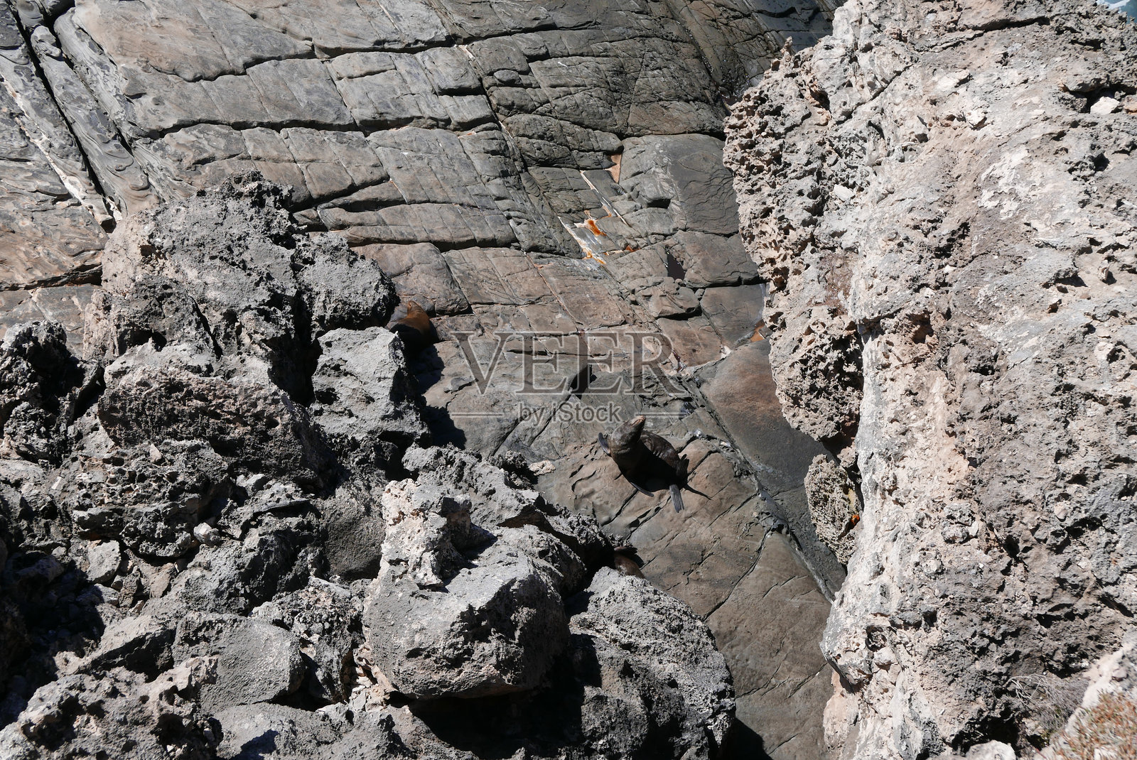 袋鼠岛的海军上将拱门，位于南澳大利亚附近，是一个以袋鼠、海豹和考拉等野生动物而闻名的自然天堂，拥有崎岖的悬崖、海滩、弗林德斯蔡斯国家公园和海豹湾。照片摄影图片