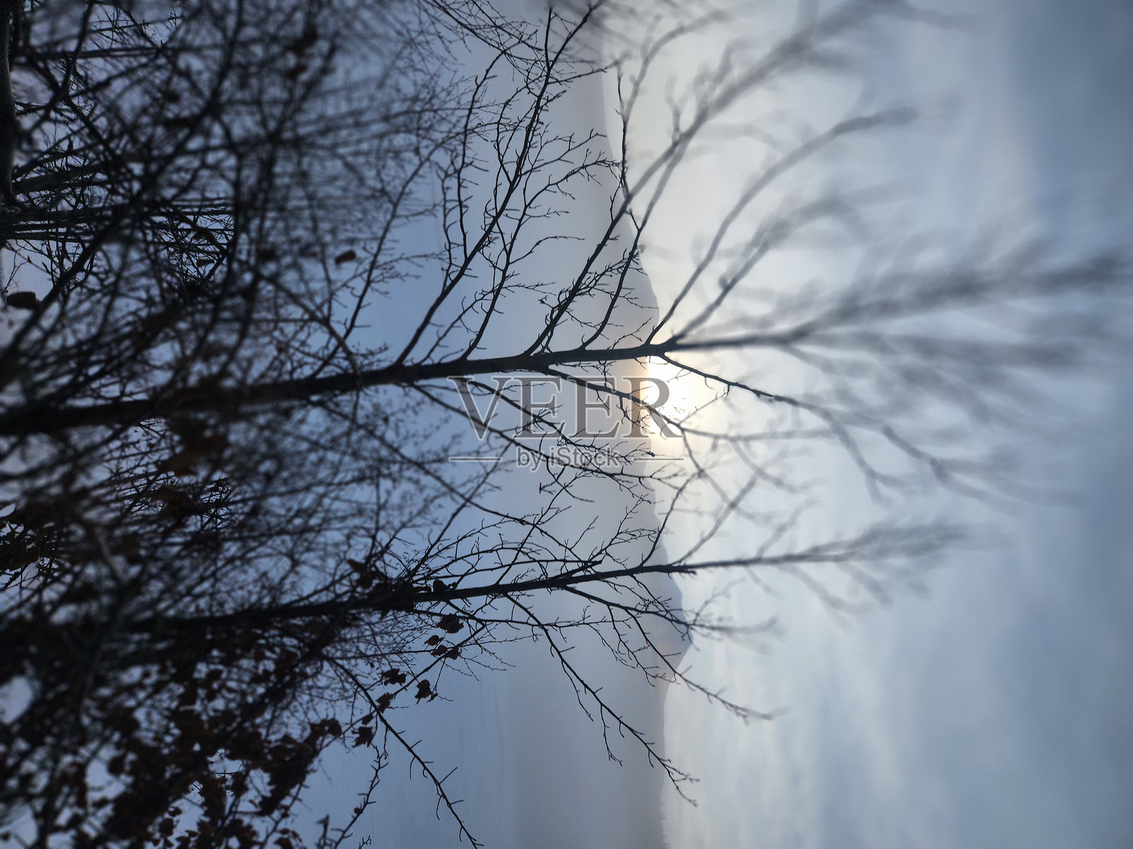 冬季日出照片摄影图片