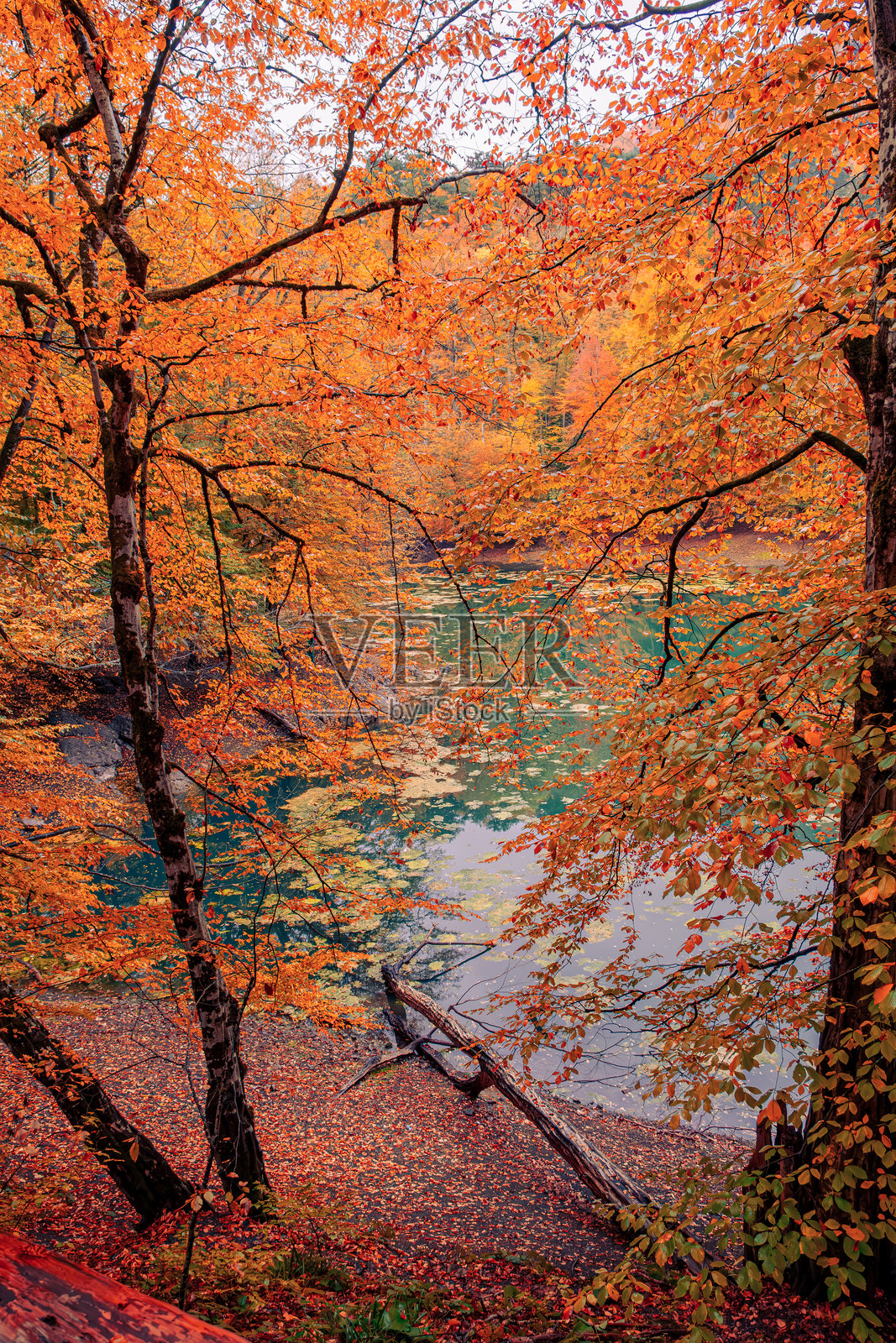 土耳其耶迪戈勒国家公园的秋季宁静照片摄影图片