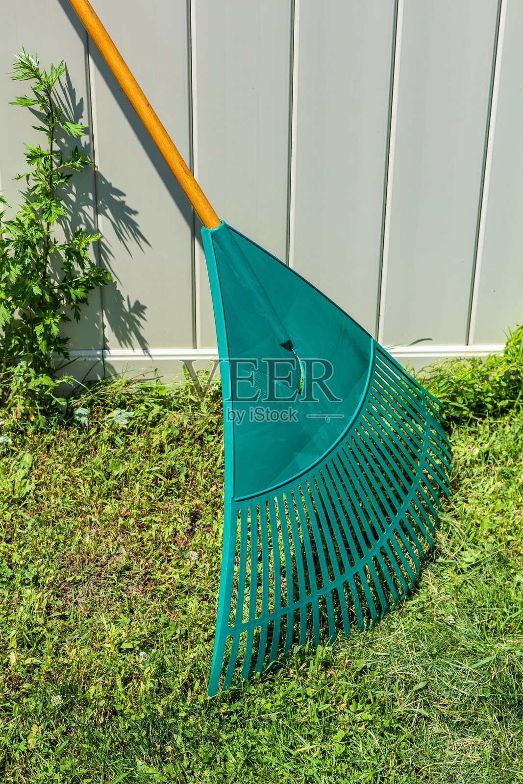 阳光明媚的后院环境中，园艺耙靠在围栏上照片摄影图片