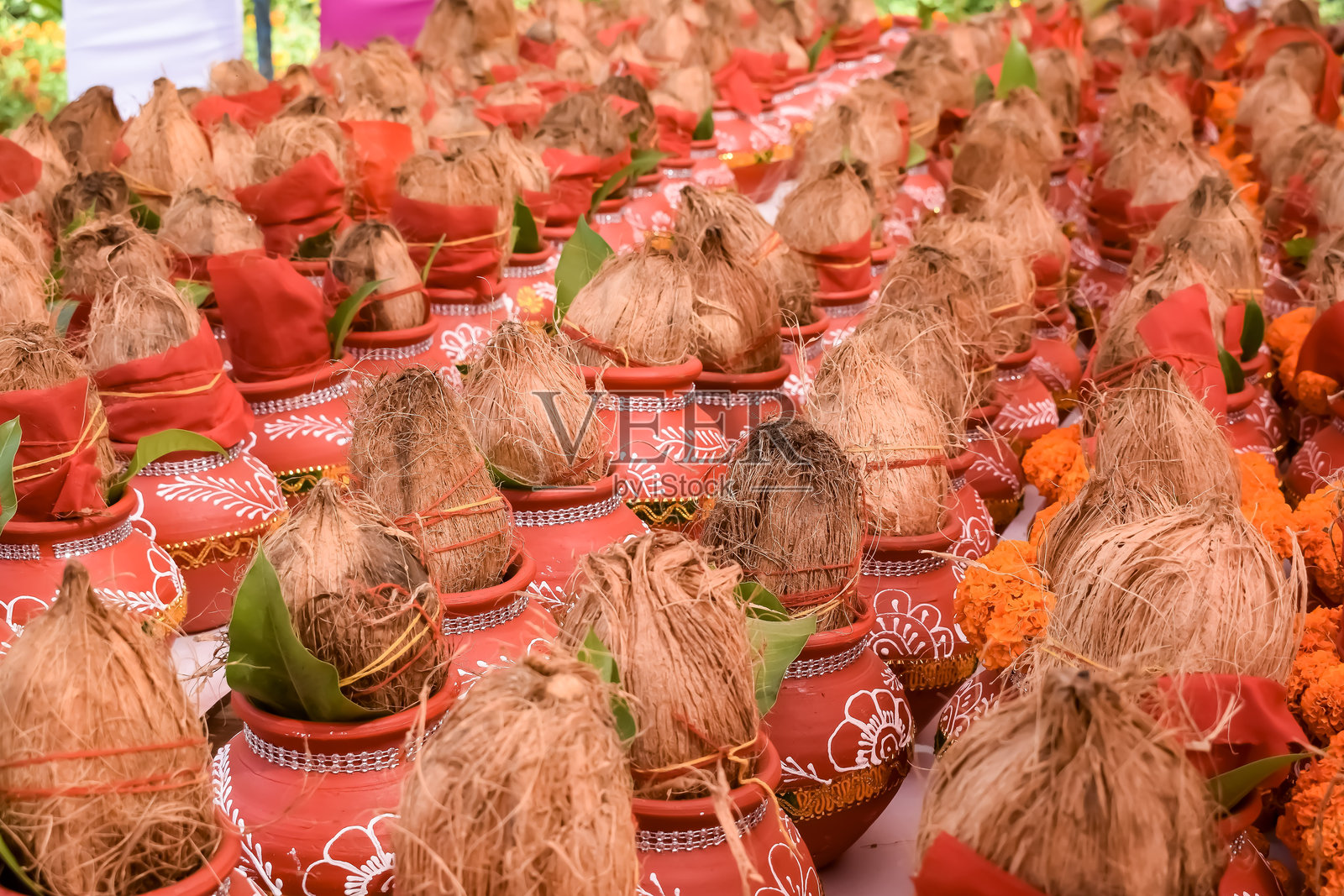装有神圣水的泥土罐，顶部装饰有椰子和芒果叶的卡拉什，花卉装饰。用于印度教普贾的卡拉什，拍摄于贾甘纳特寺的曼戈尔卡拉什雅特拉，正面视图，特写。照片摄影图片