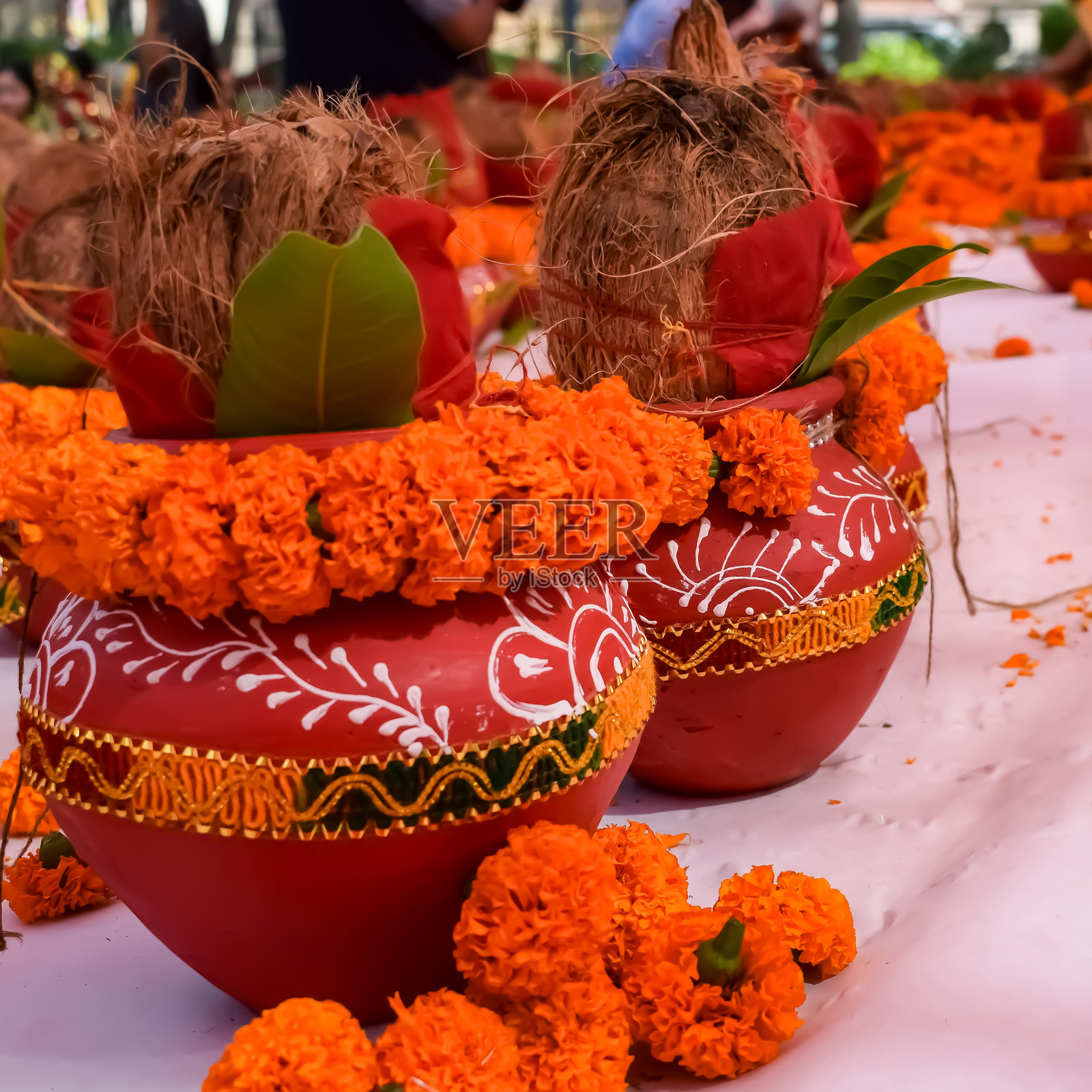 装有神圣水的泥土罐，顶部装饰有椰子和芒果叶的卡拉什，花卉装饰。用于印度教普贾的卡拉什，拍摄于贾甘纳特寺的曼戈尔卡拉什雅特拉，正面视角，特写。照片摄影图片
