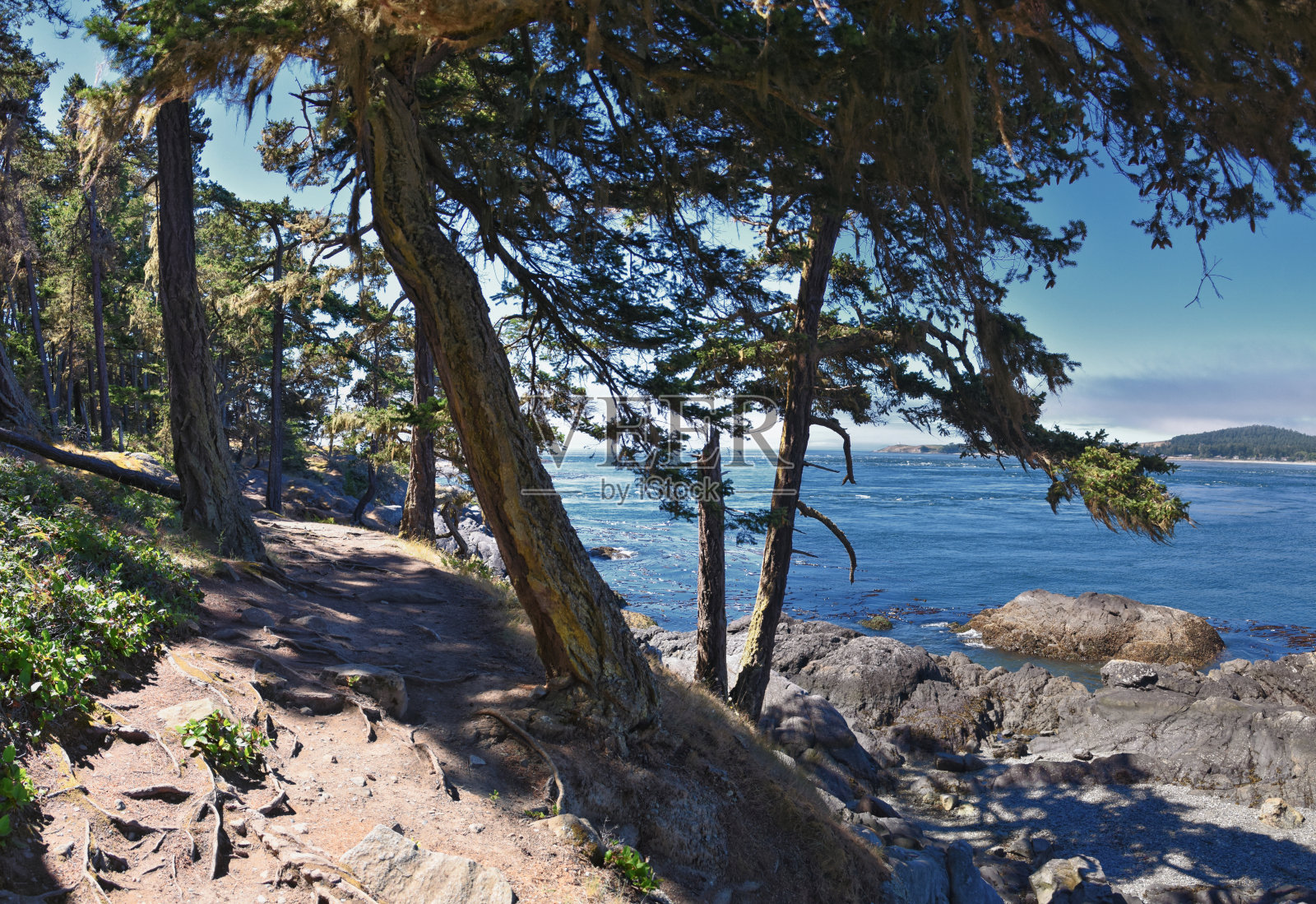 洛佩兹岛，圣胡安群岛，2024年夏季，华盛顿州，鲨鱼礁保护区沿海海洋景观。照片摄影图片