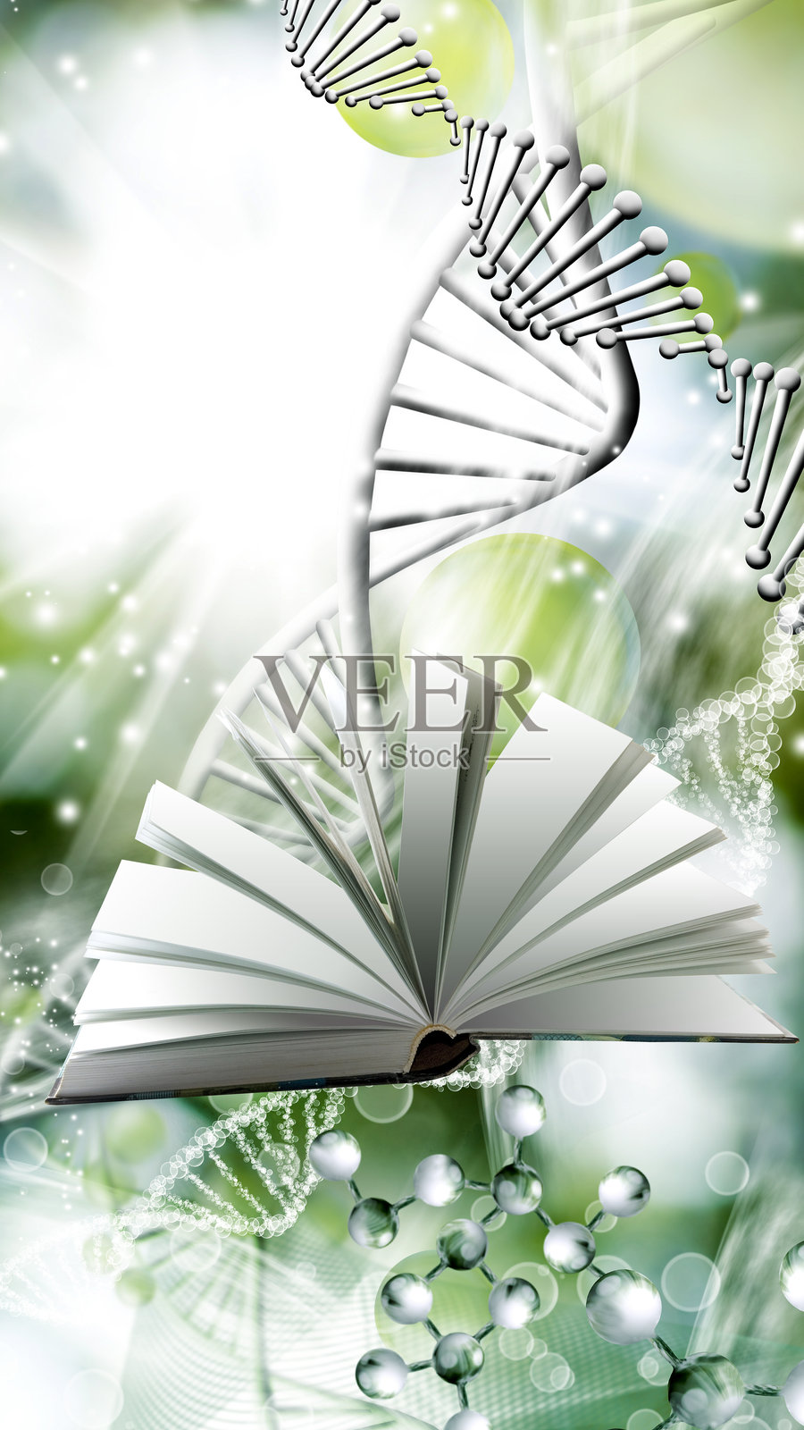 时间的沙粒与生命的缓慢旅程照片摄影图片