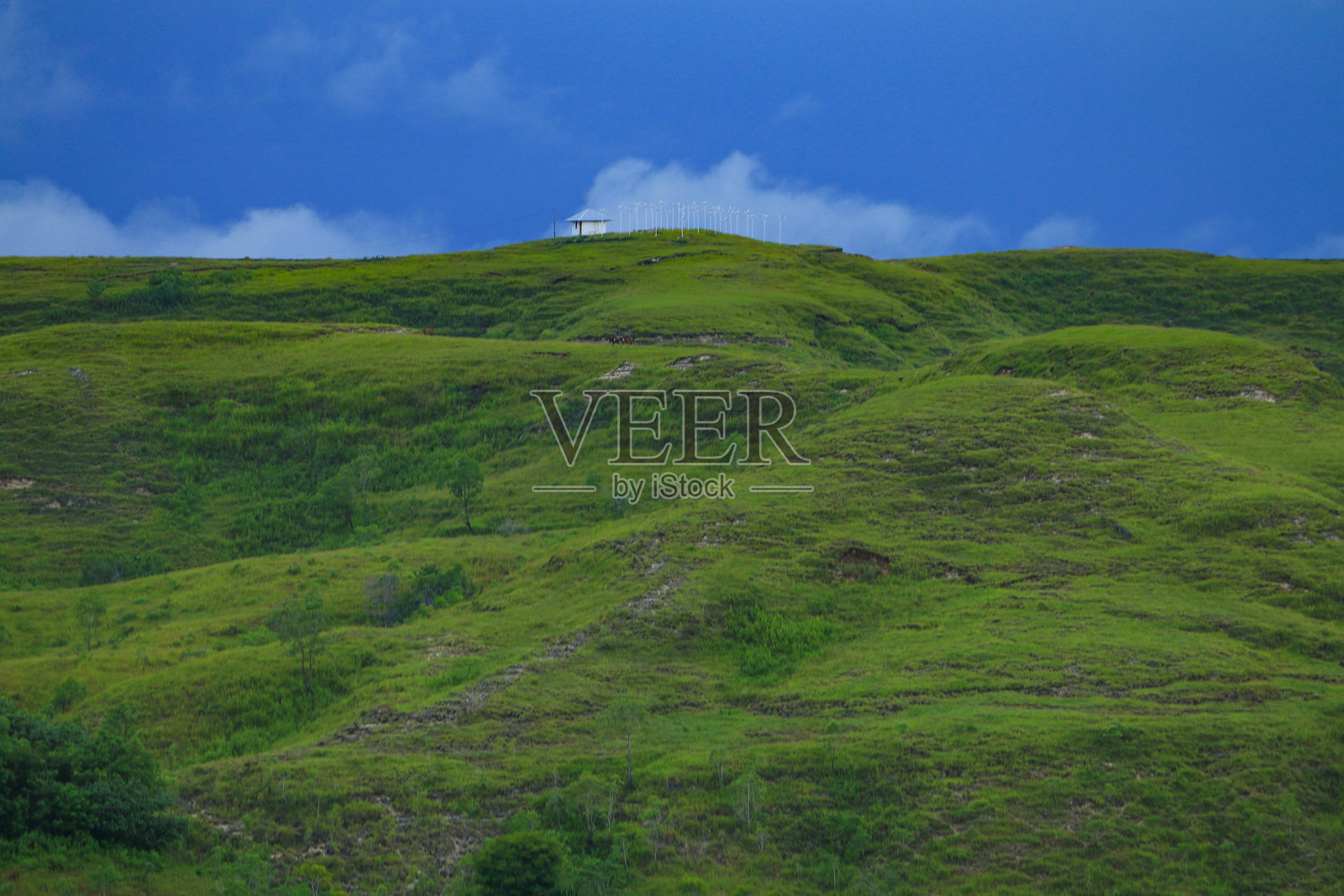 草甸草原的丘陵照片摄影图片