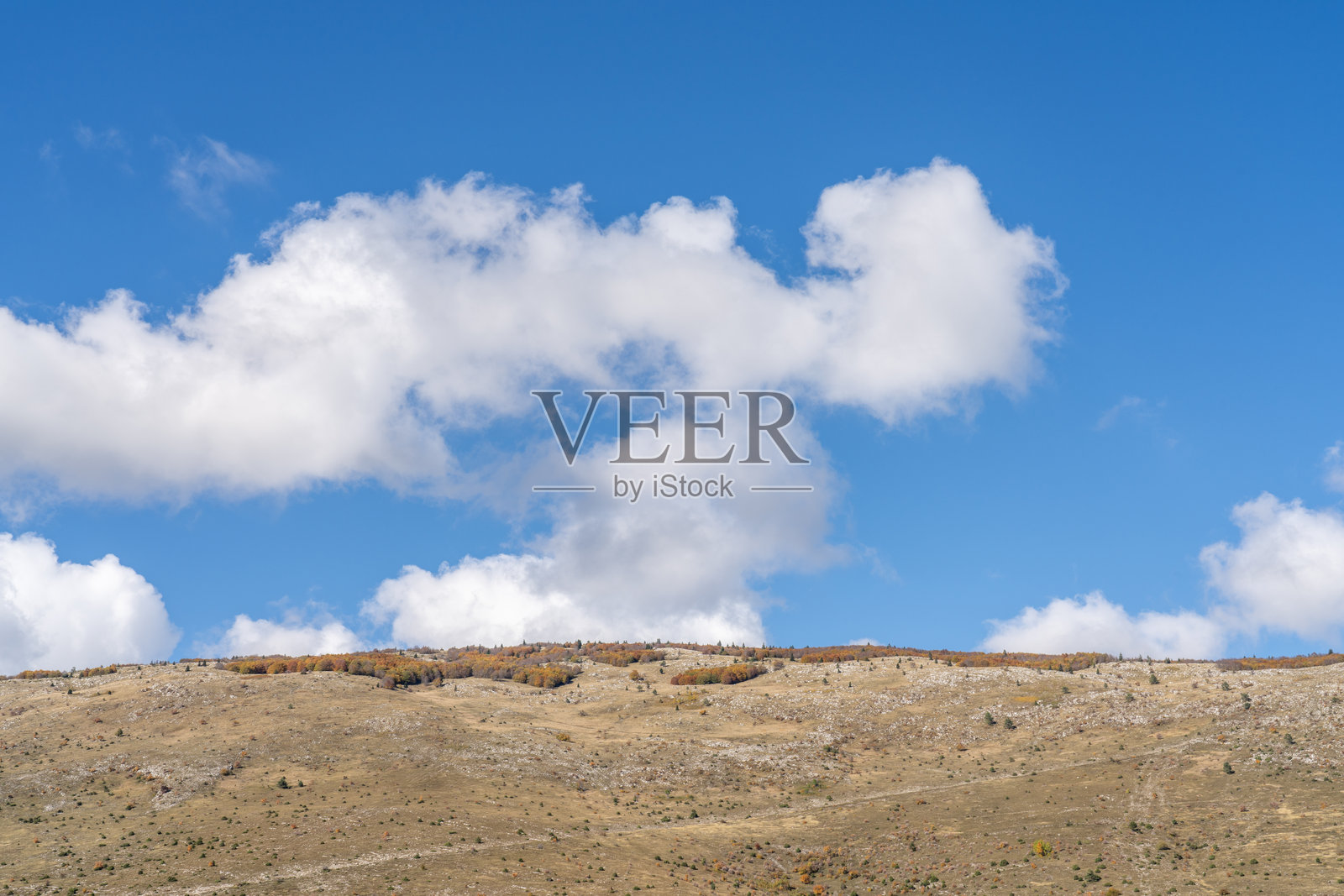 秋季的喀斯特山丘与蓝天下的植物照片摄影图片