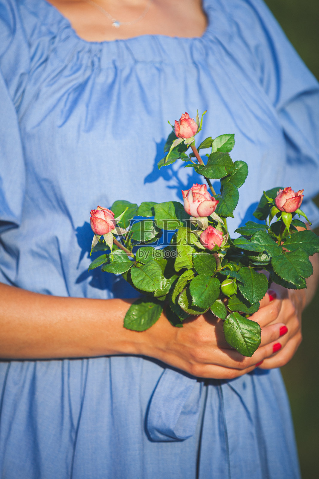 一个穿着蓝色裙子的小女孩在阳光明媚的日子里手捧一束美丽的花园玫瑰。女孩在落日的余晖中手握花束。调色。照片摄影图片