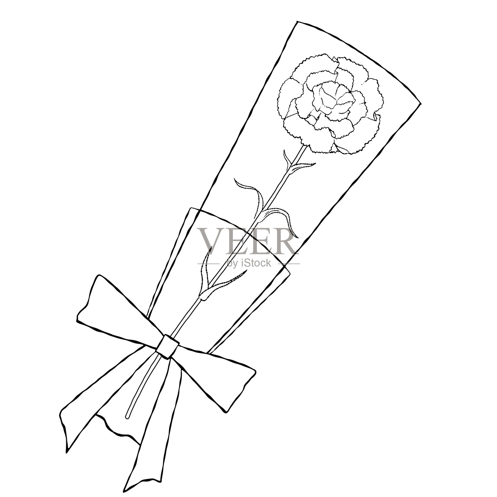 手绘线条艺术插图，描绘一朵康乃馨插画图片素材
