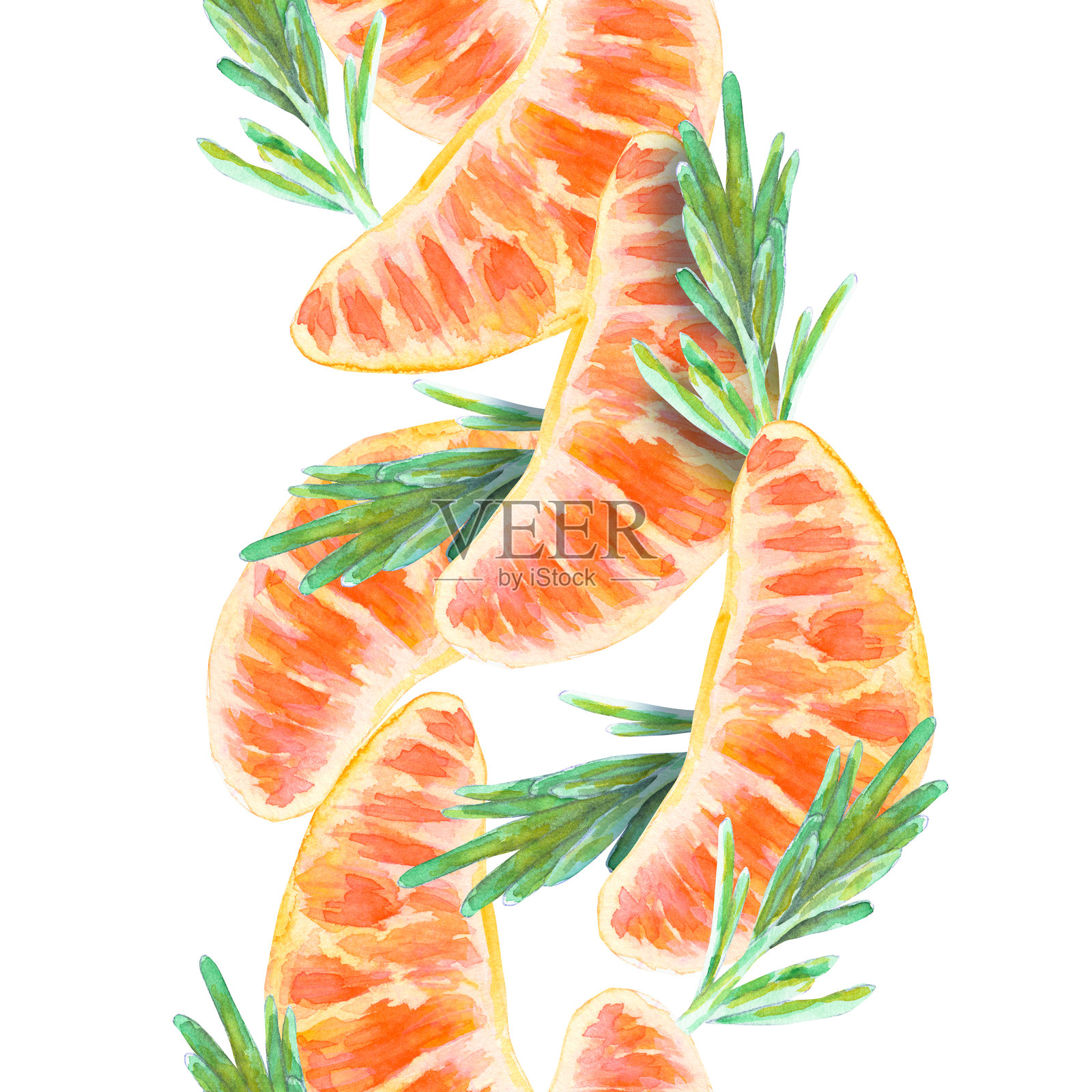 垂直无缝边框，包含剥皮的橘子片和迷迭香枝。明亮的橙色和绿色组合。插画图片素材