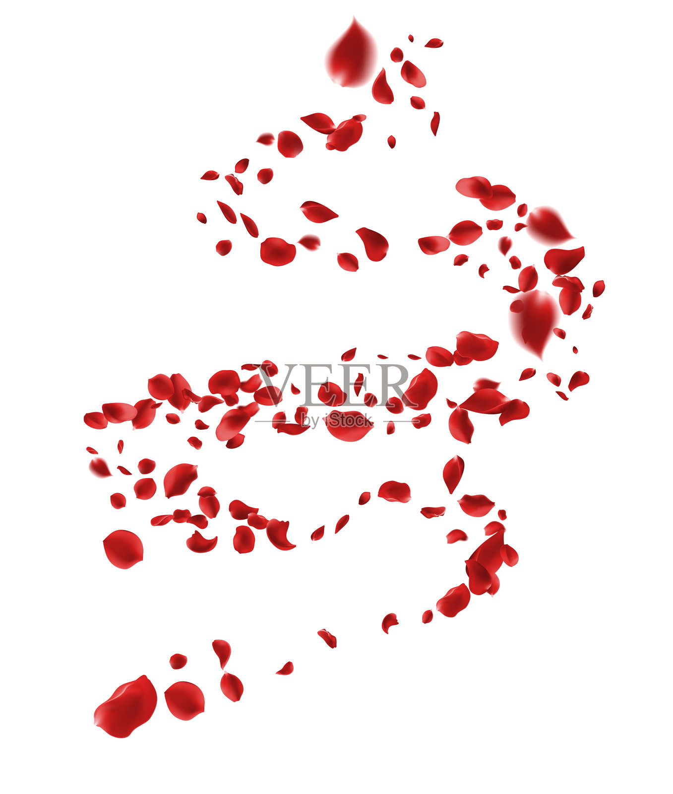 2月14日，深红色玫瑰的花瓣飞向远方。孤立背景。插画图片素材