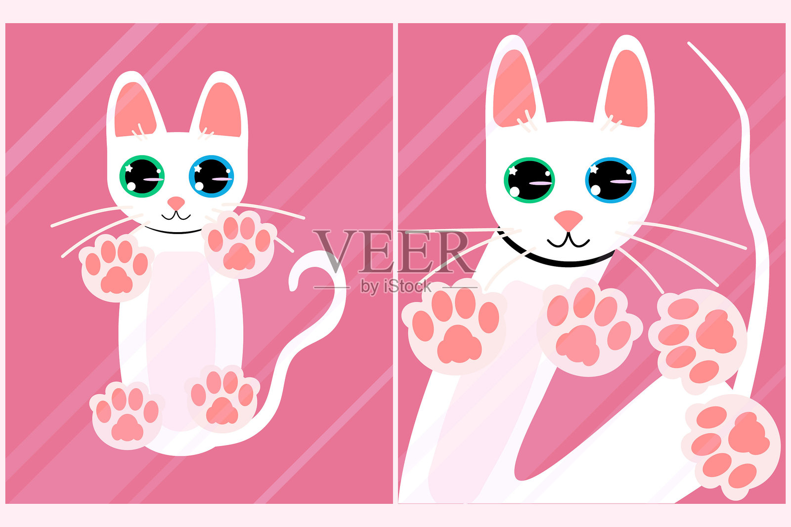 猫和小猫站在透明玻璃上，从上方俯视插画图片素材