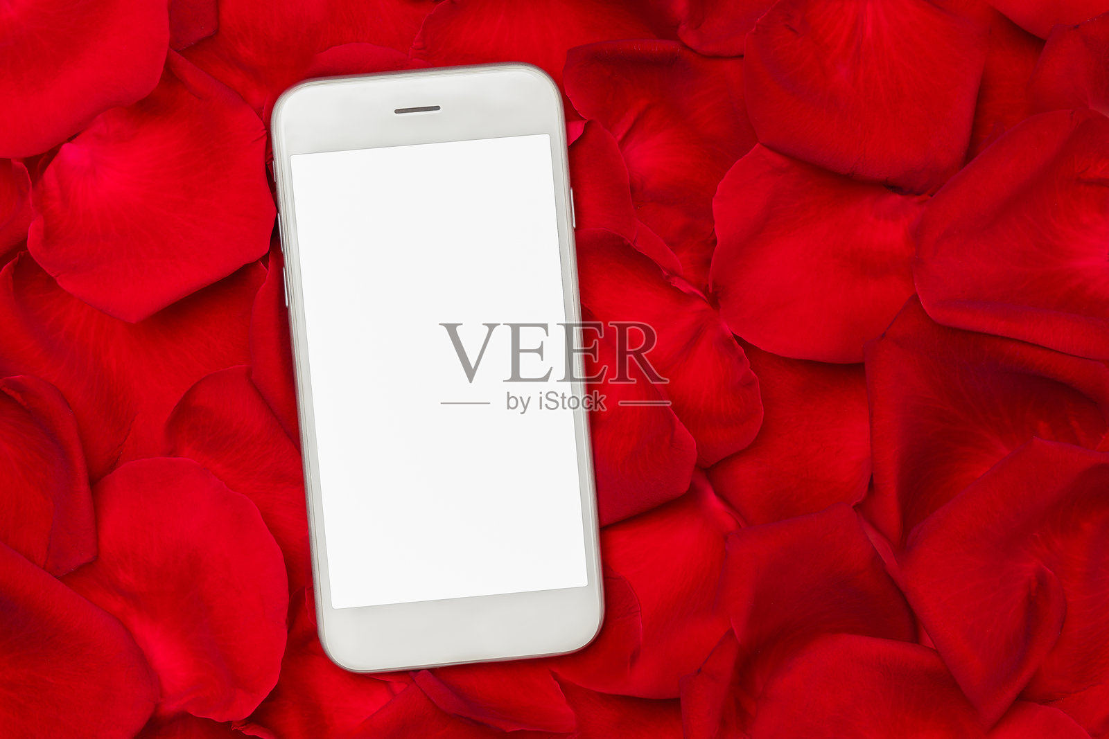 红玫瑰花瓣背景上的空白屏幕智能手机模型照片摄影图片