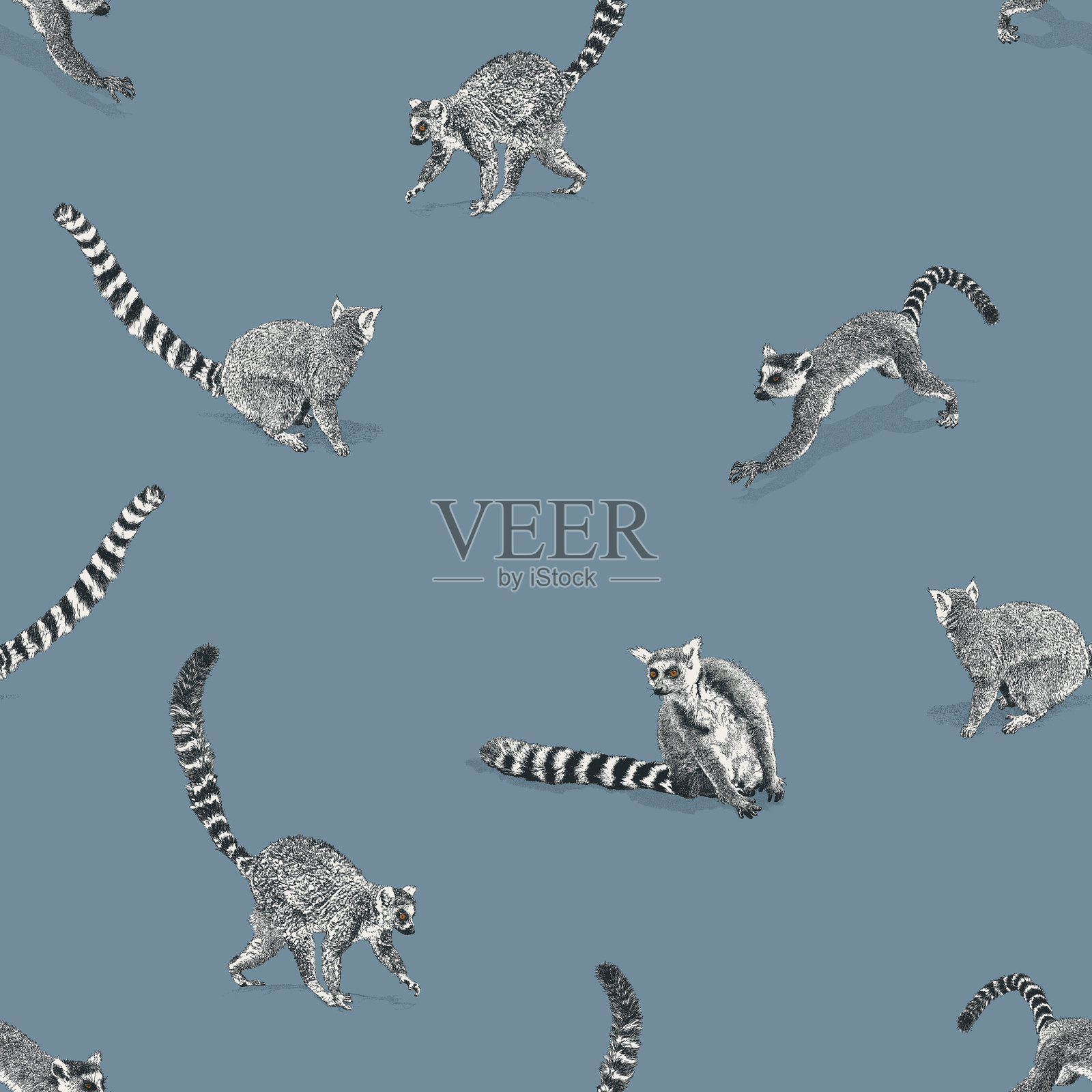 环尾狐猴无缝重复图案插画图片素材