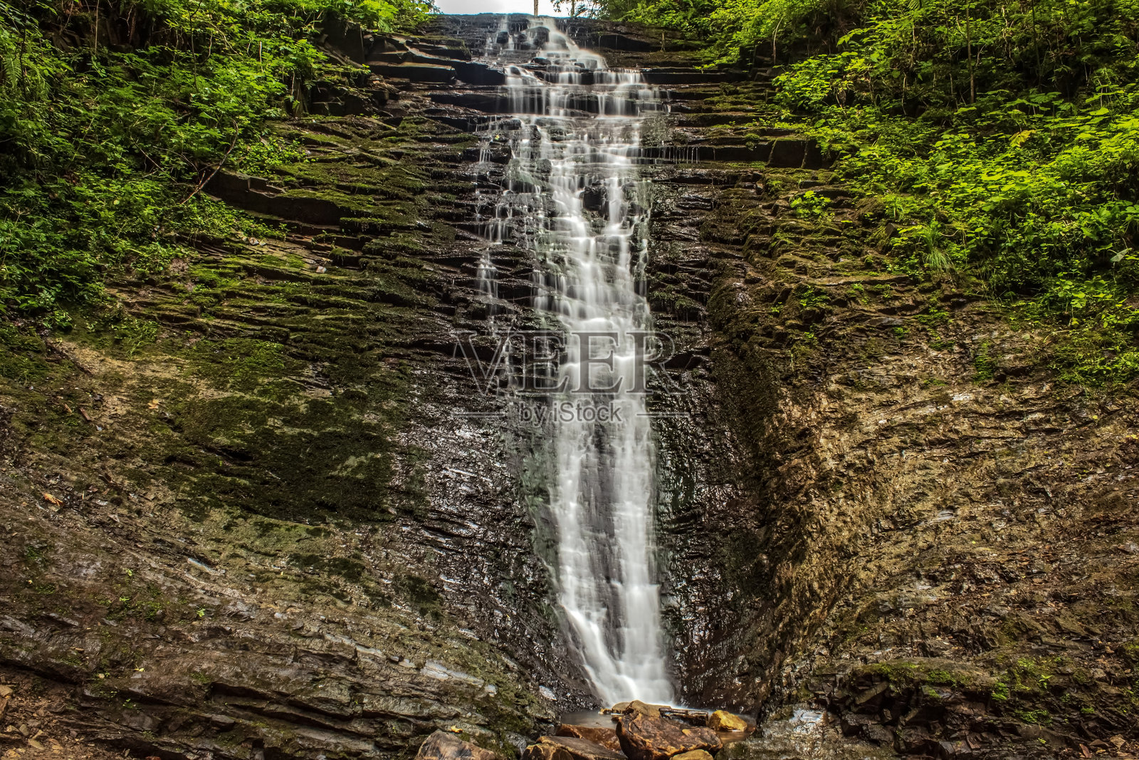 风景 - 森林 - 欧洲，罗马尼亚，苏恰瓦地区照片摄影图片