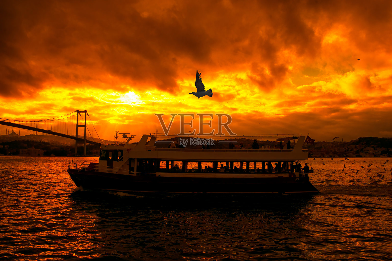 游船带游客游览博斯普鲁斯海峡照片摄影图片