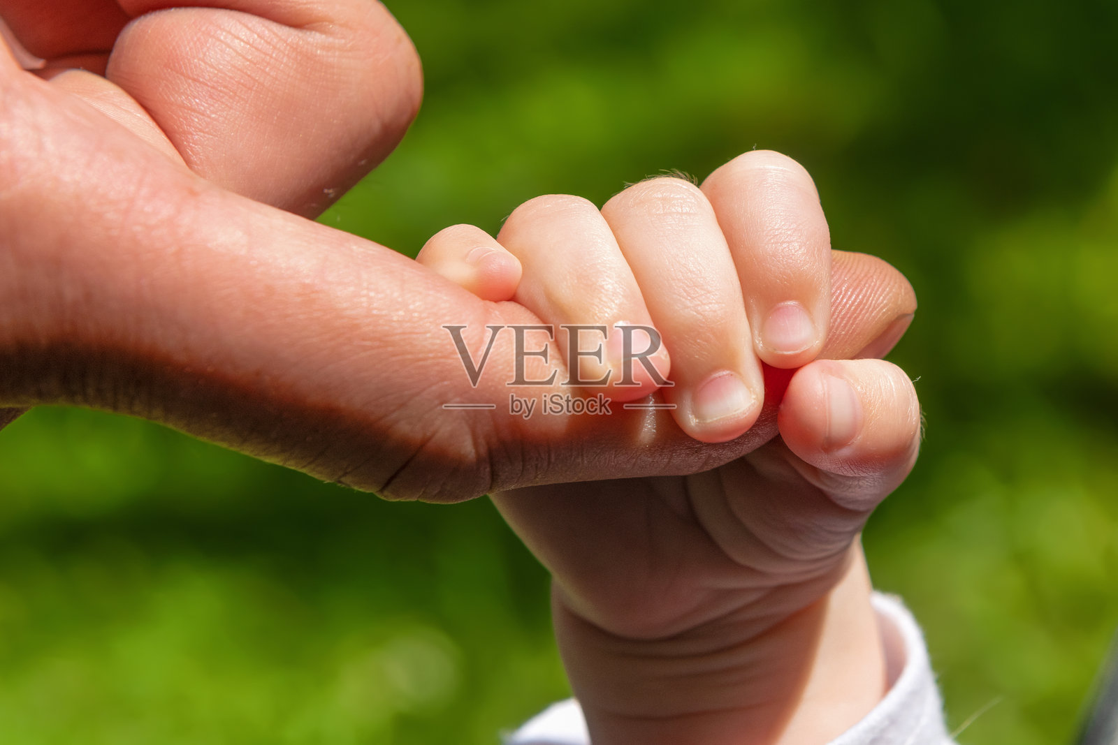 婴儿用整个手握住成年人的手指照片摄影图片
