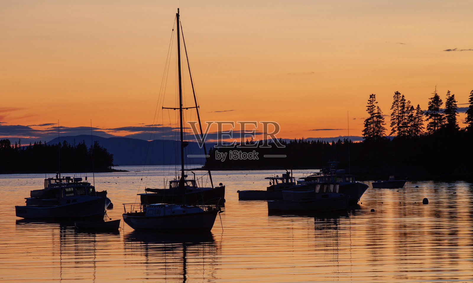一群船只停靠在水中照片摄影图片