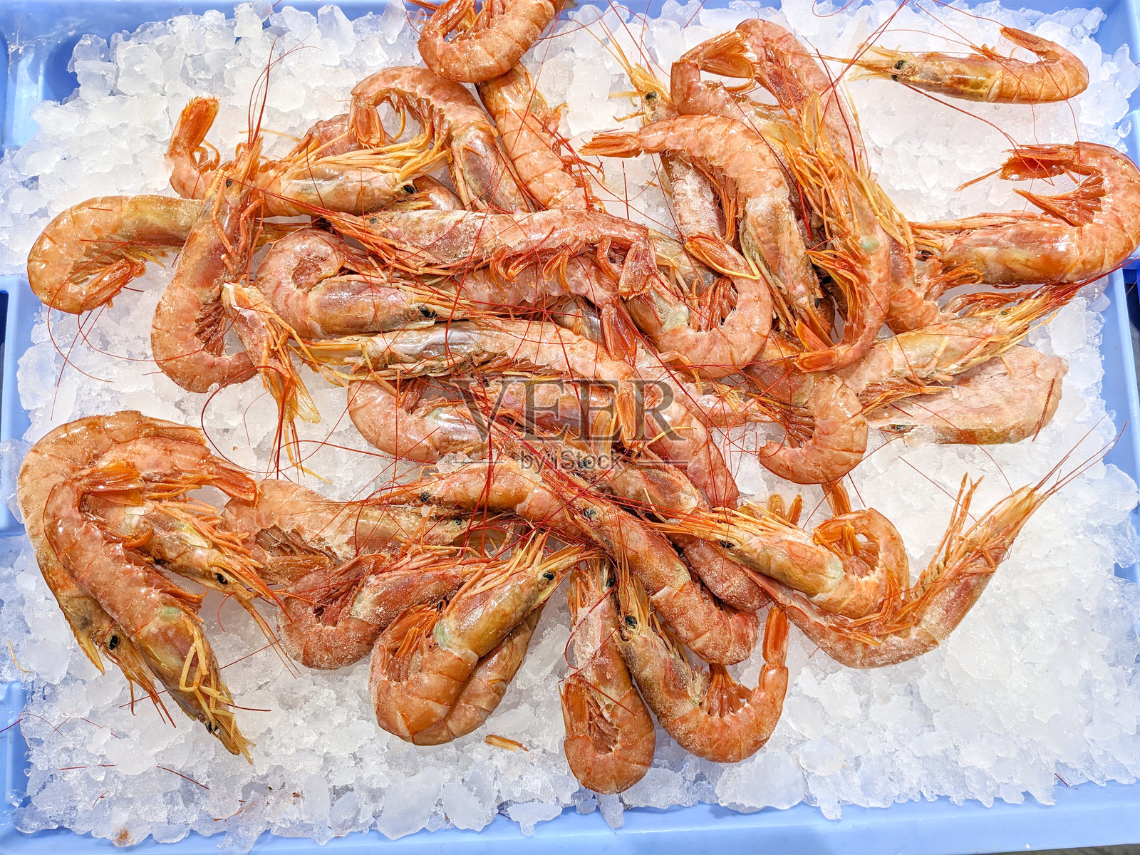 新鲜虾堆在碎冰上照片摄影图片