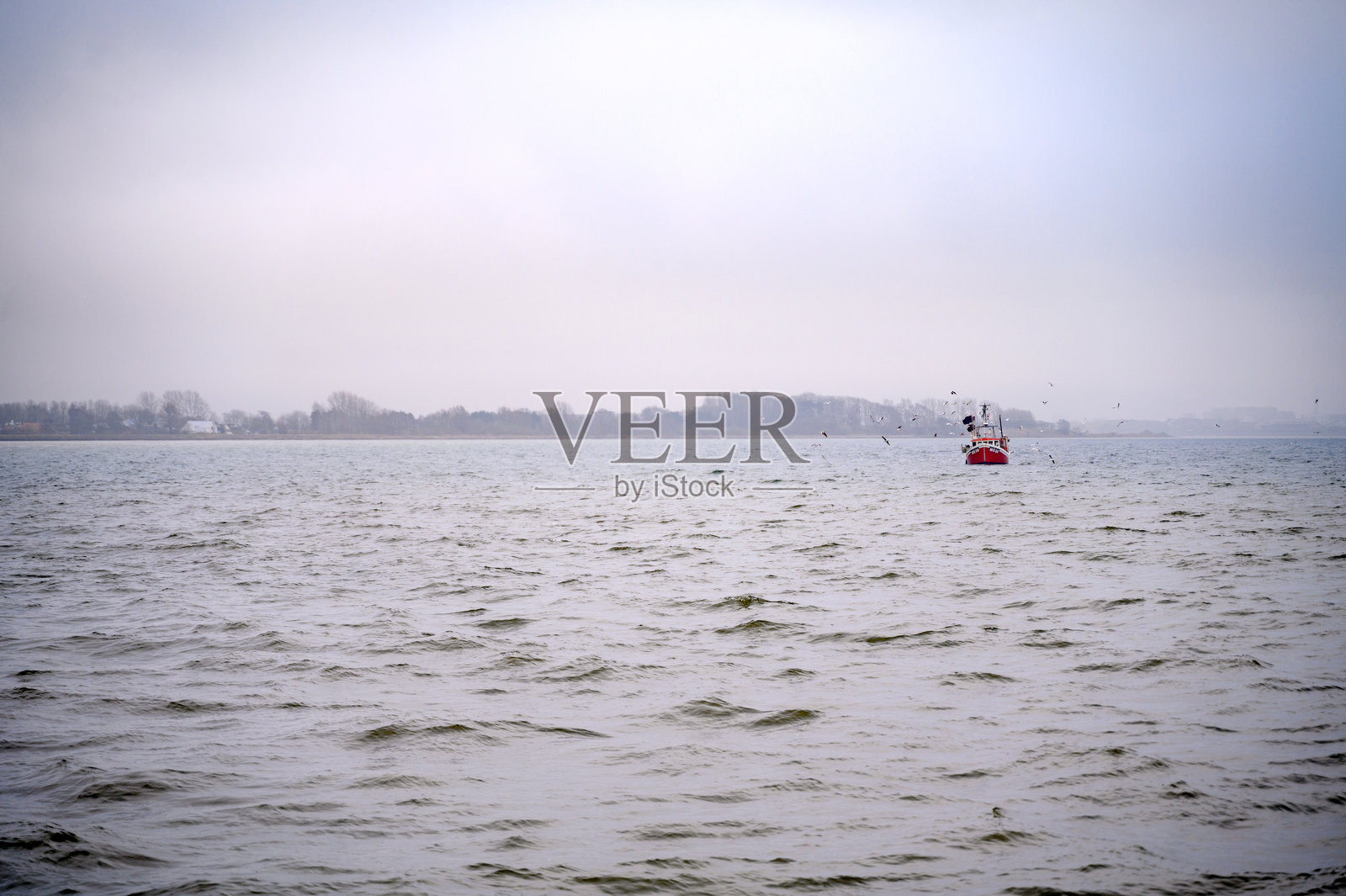 一只红色渔船在海上，海鸥在周围飞翔。瑞典洛姆马，2025年照片摄影图片