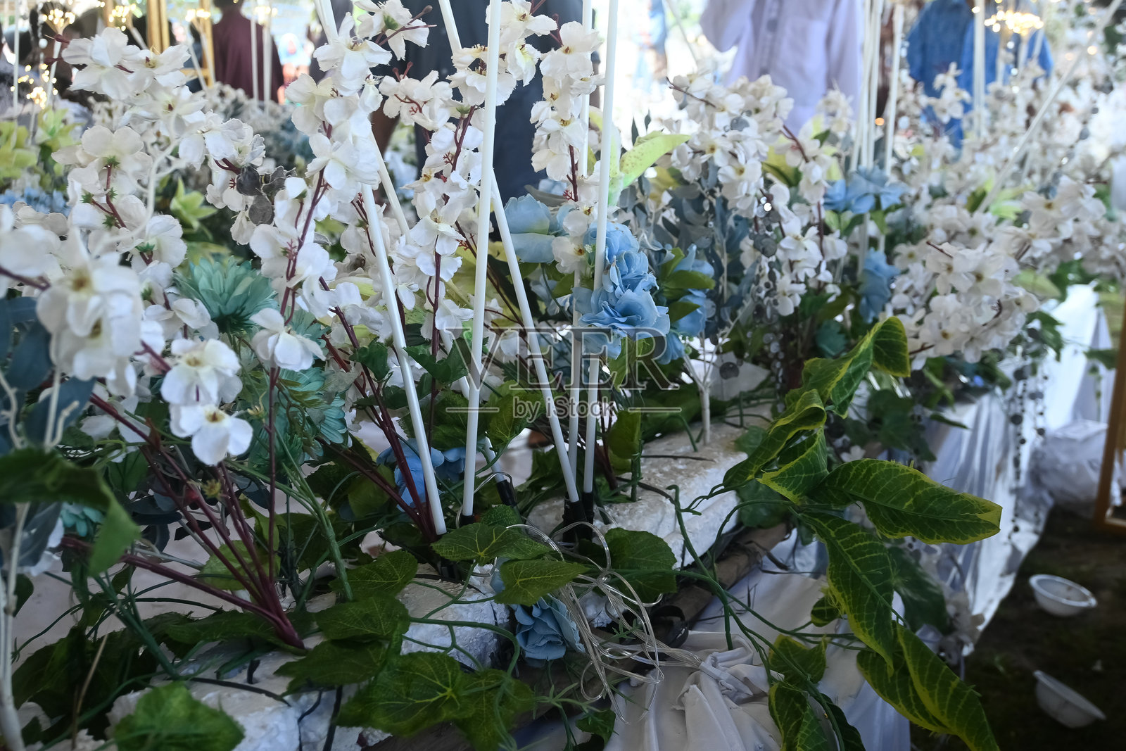 装饰性花卉照片摄影图片