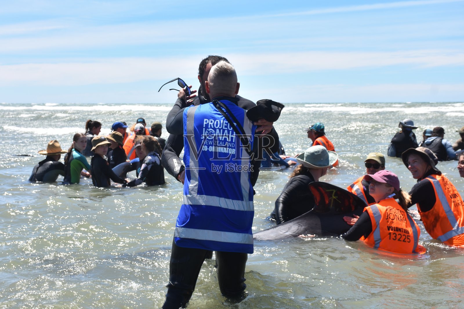Manawhenua ki Mohua 的代表在新西兰黄金湾的海滩上，向参与项目乔纳的志愿者致意，祝福被项目乔纳、保护部和志愿者重新浮起的搁浅领航鲸群。照片摄影图片
