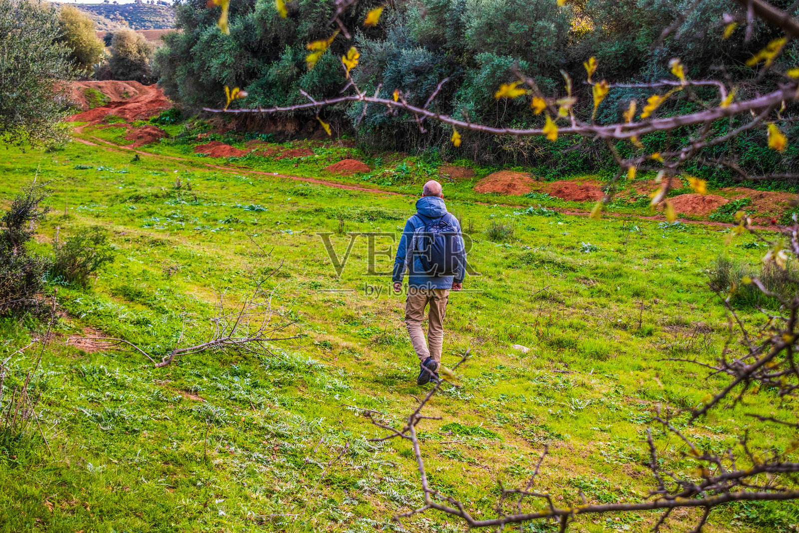 男人在森林中行走照片摄影图片