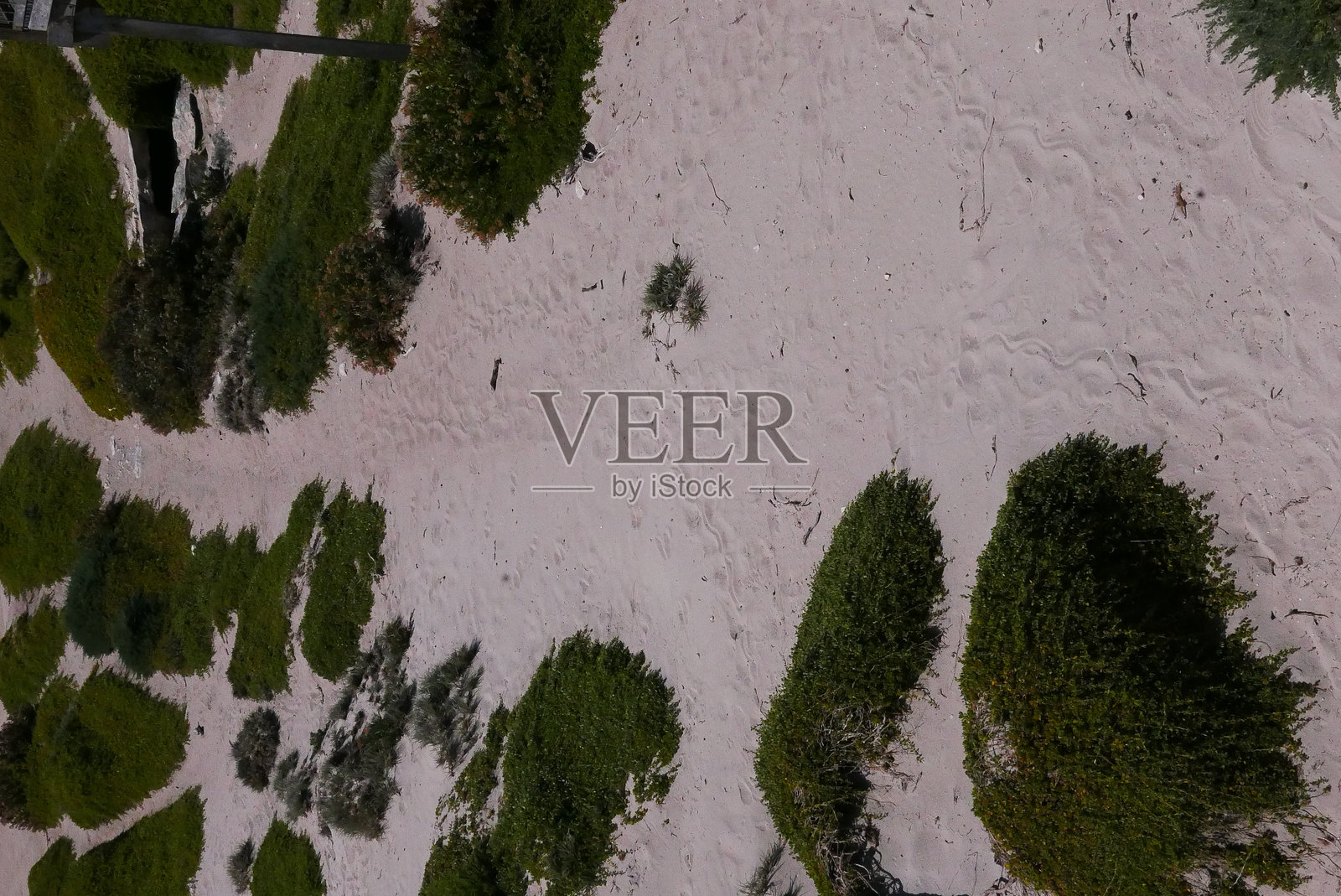 袋鼠岛的海豹湾，位于南澳大利亚附近，是一个以袋鼠、海豹和考拉等野生动物而闻名的自然天堂，拥有崎岖的悬崖、海滩、弗林德斯蔡斯国家公园和海豹湾。照片摄影图片