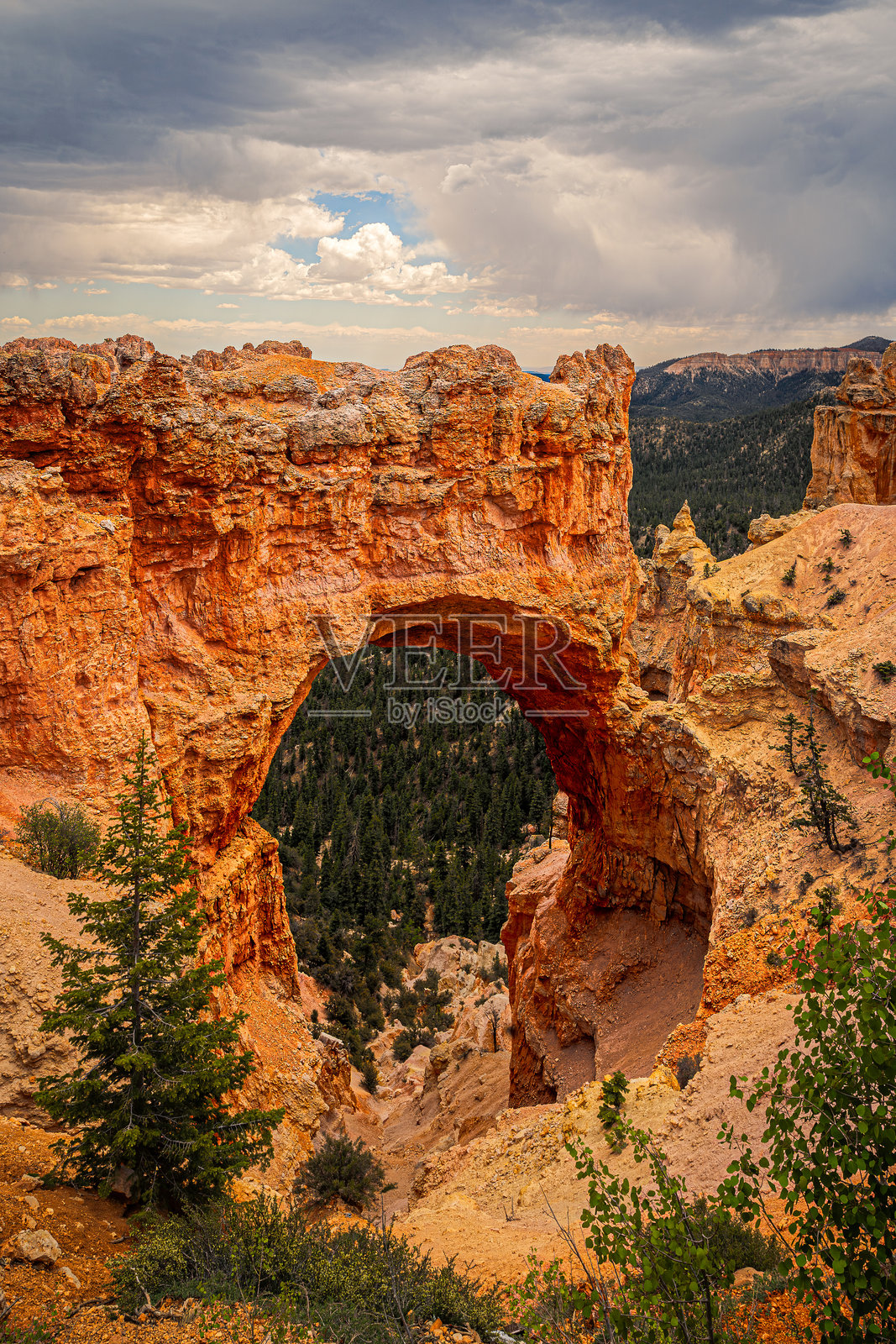 布莱斯自然桥照片摄影图片