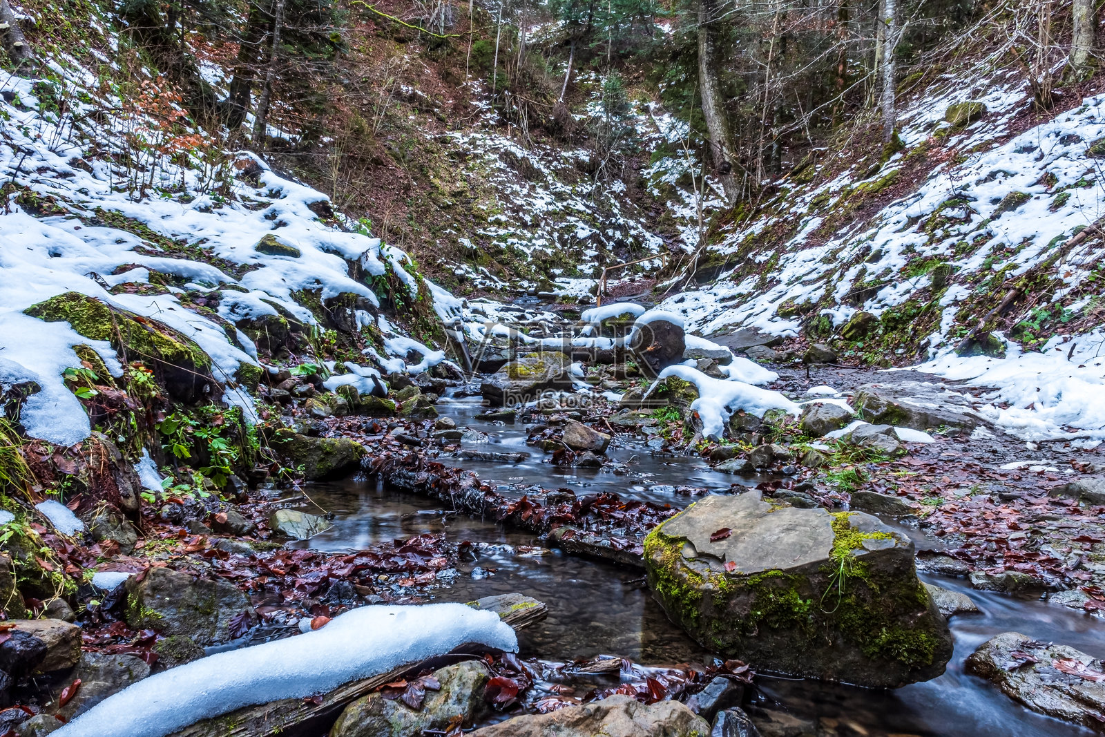 风景 - 森林 - 欧洲，罗马尼亚，苏恰瓦地区照片摄影图片