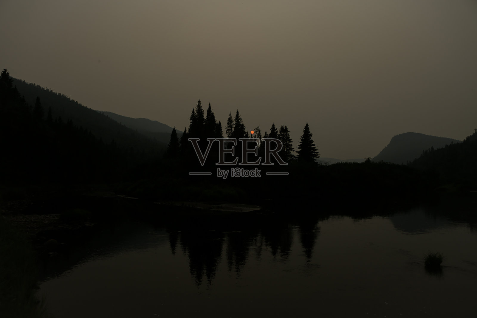 云雾黄昏中的松树剪影照片摄影图片