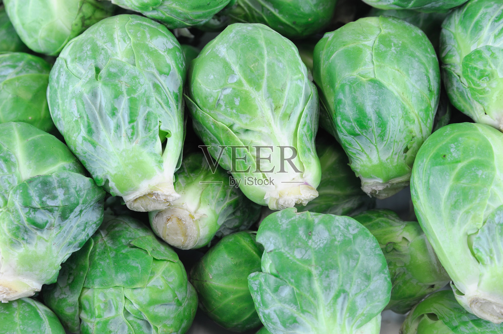 新鲜的布鲁塞尔芽菜作为食物背景照片摄影图片
