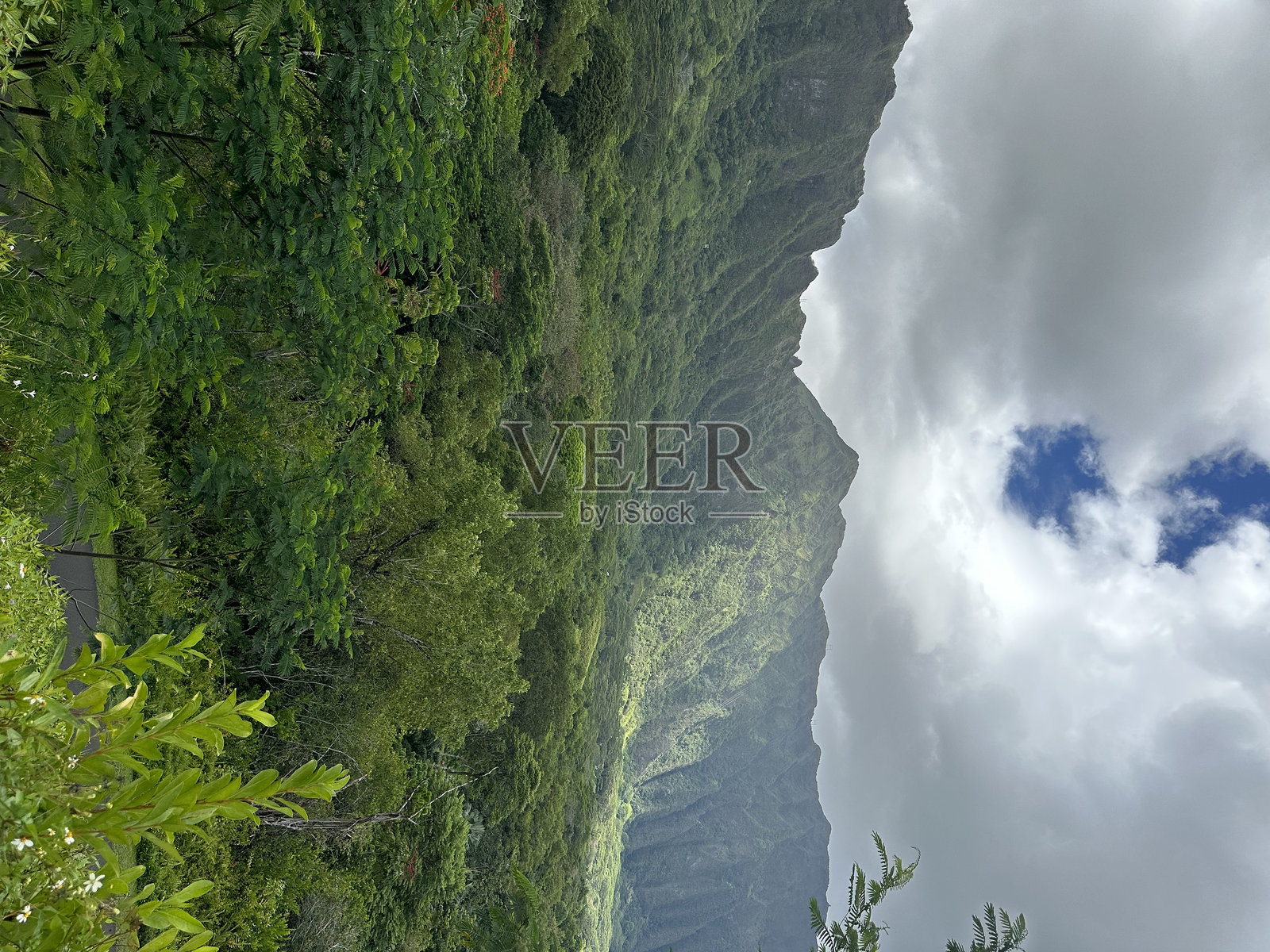 霍阿马鲁希亚植物园 - 瓦胡岛，夏威夷照片摄影图片