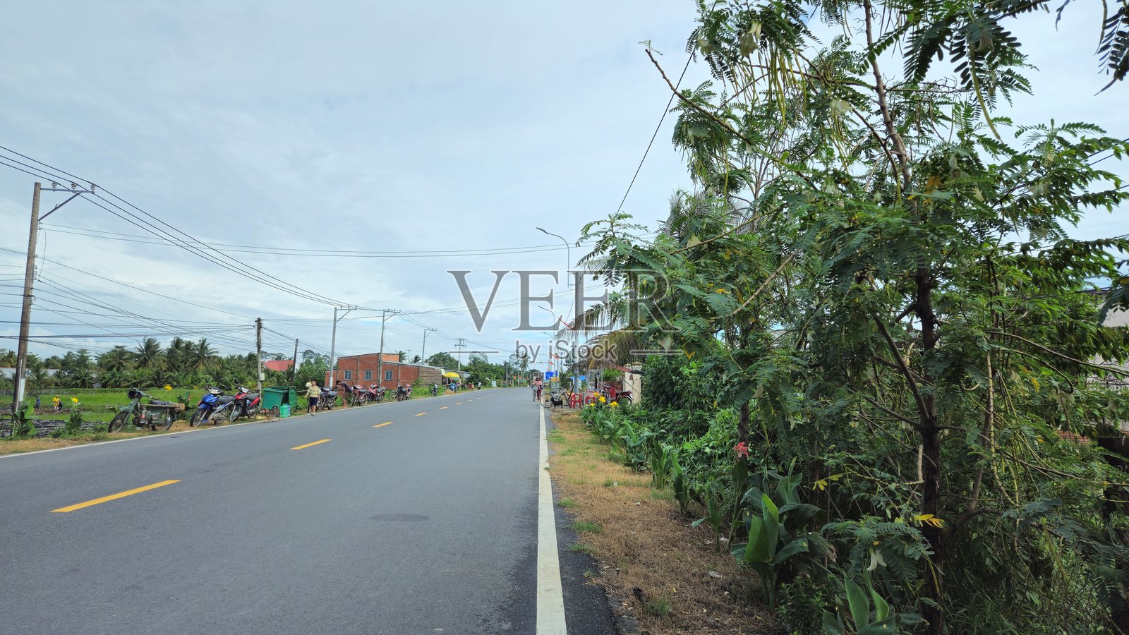 越南湄公河三角洲清晨被郁郁葱葱的绿树环绕的宁静乡村街道。照片摄影图片