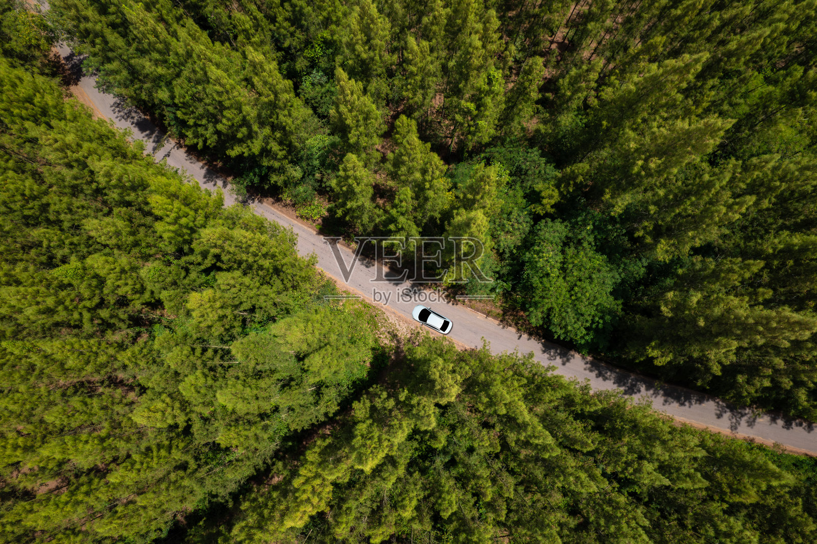 黑色绿色森林道路和白色电动车的鸟瞰图，自然风光与高架道路，冒险旅行、交通与环保理念照片摄影图片