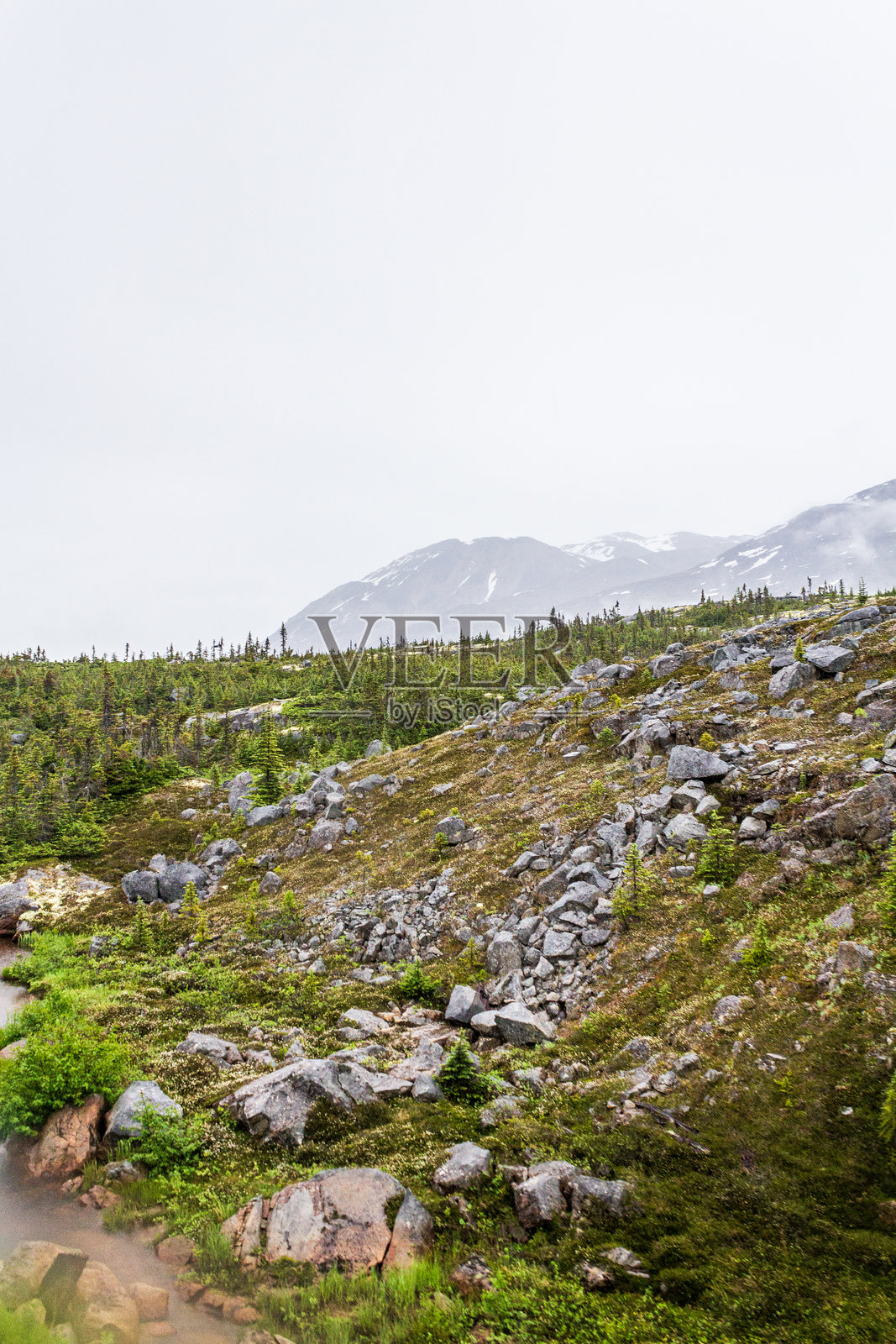 宁静的山地风景，绿意盎然的植被和岩石地貌照片摄影图片