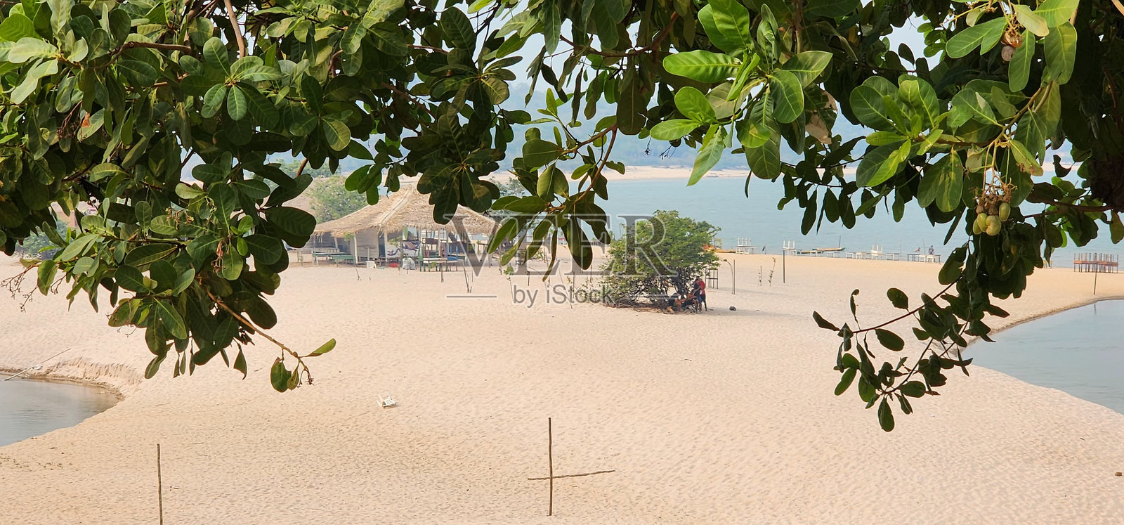 自然之美照片摄影图片