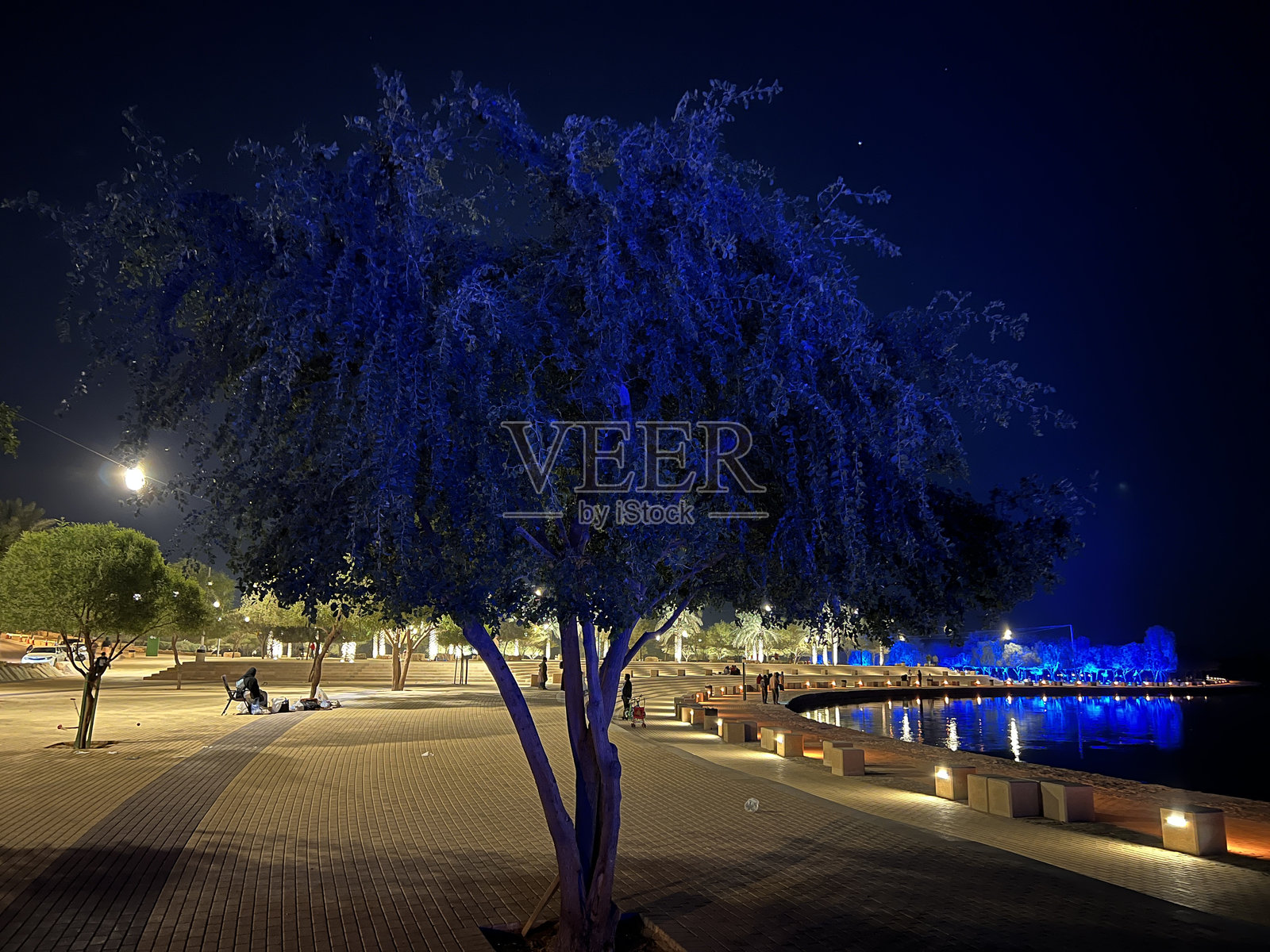 发现沙特阿拉伯的发型公园和湖泊的宁静：自然与休闲的完美结合照片摄影图片