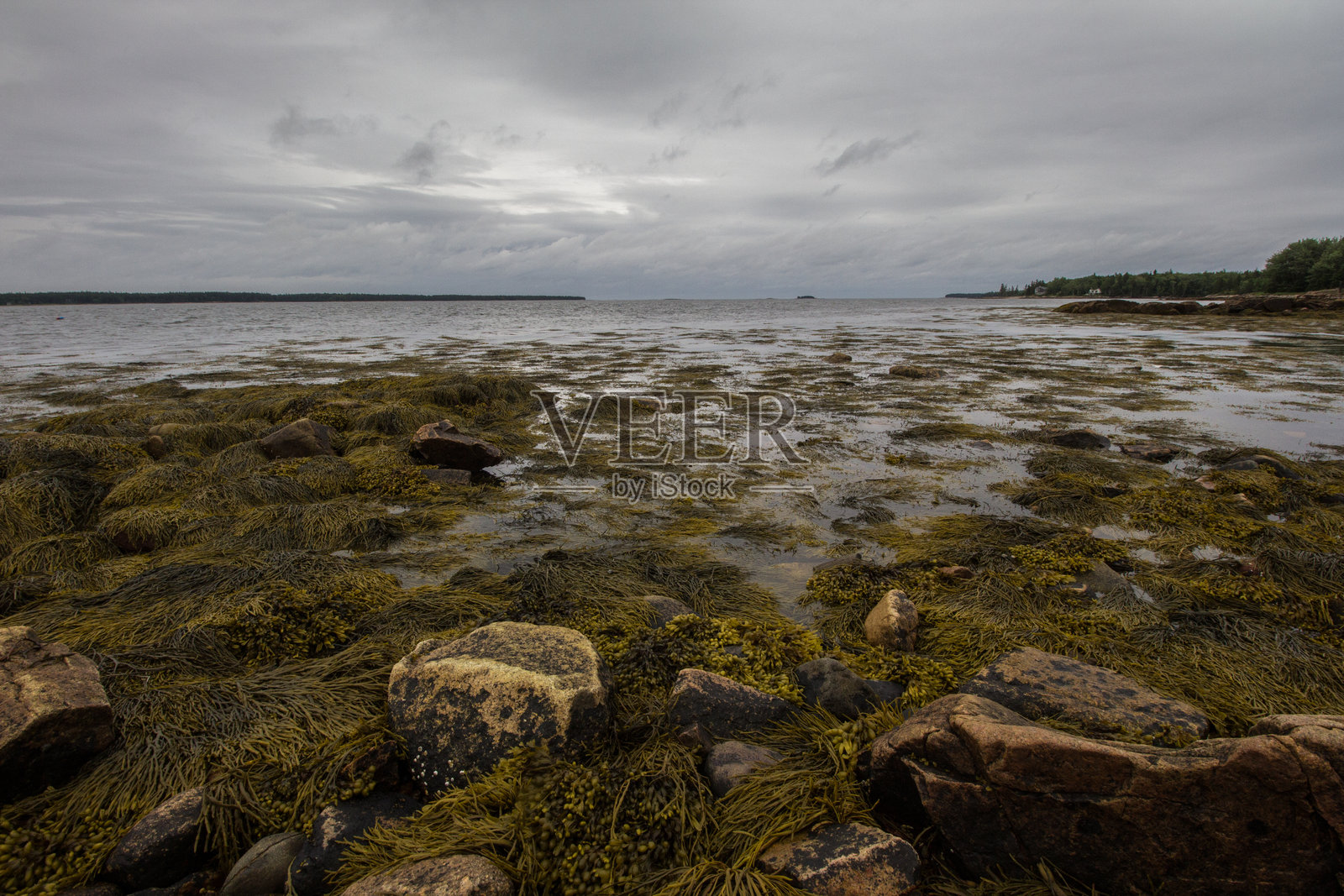 缅因州古尔兹博罗湾的景色照片摄影图片