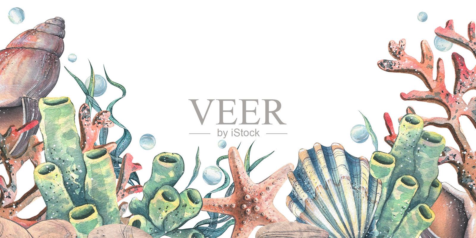珊瑚、海绵、海藻、贝壳、海星和气泡。手绘水彩插图，主题为海洋动物和水下世界。横向矩形框架，文本模板。插画图片素材