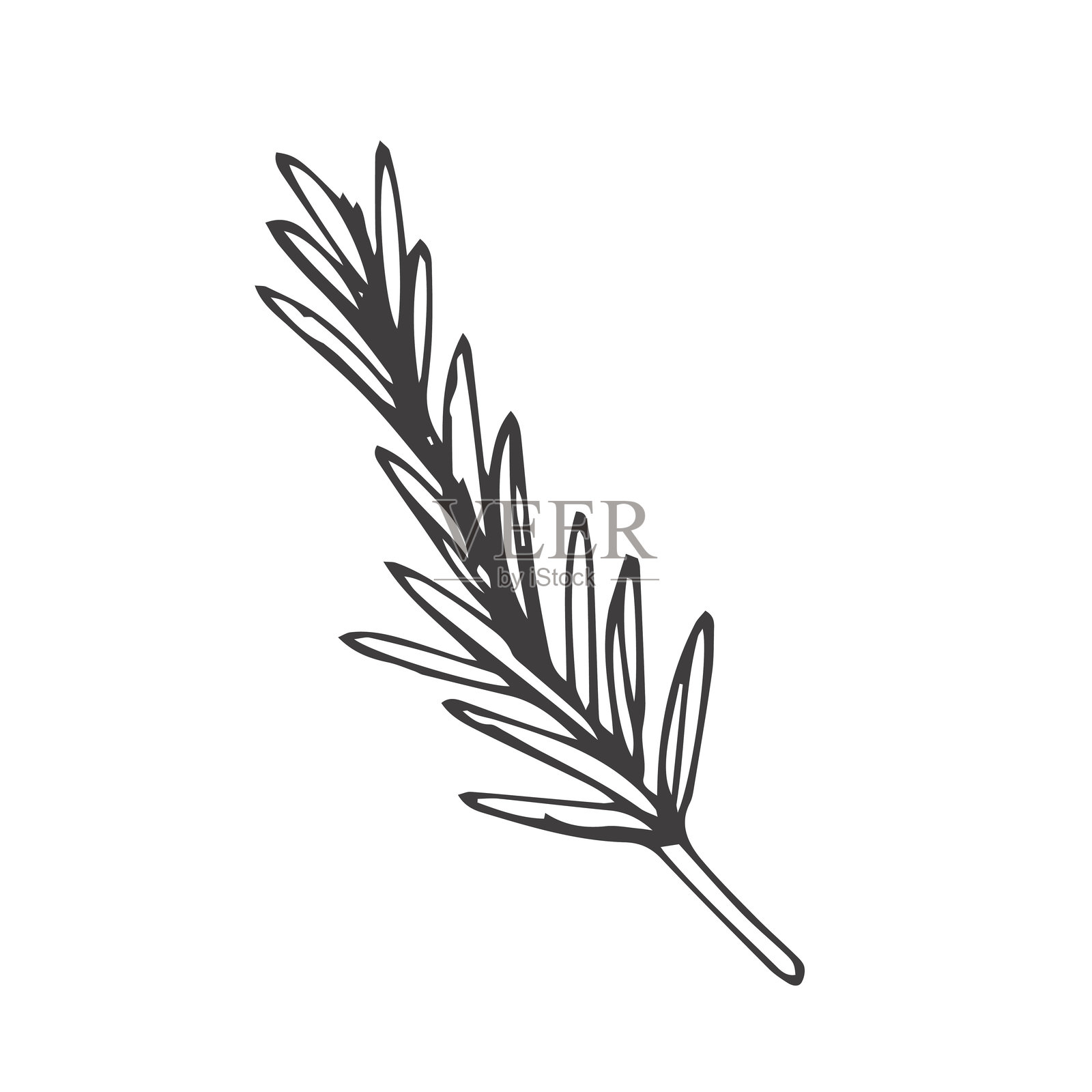 迷你风格的迷迭香枝条矢量轮廓图。适用于厨房、包装和包装纸设计、菜单、餐厅及产品的剪贴画。插画图片素材