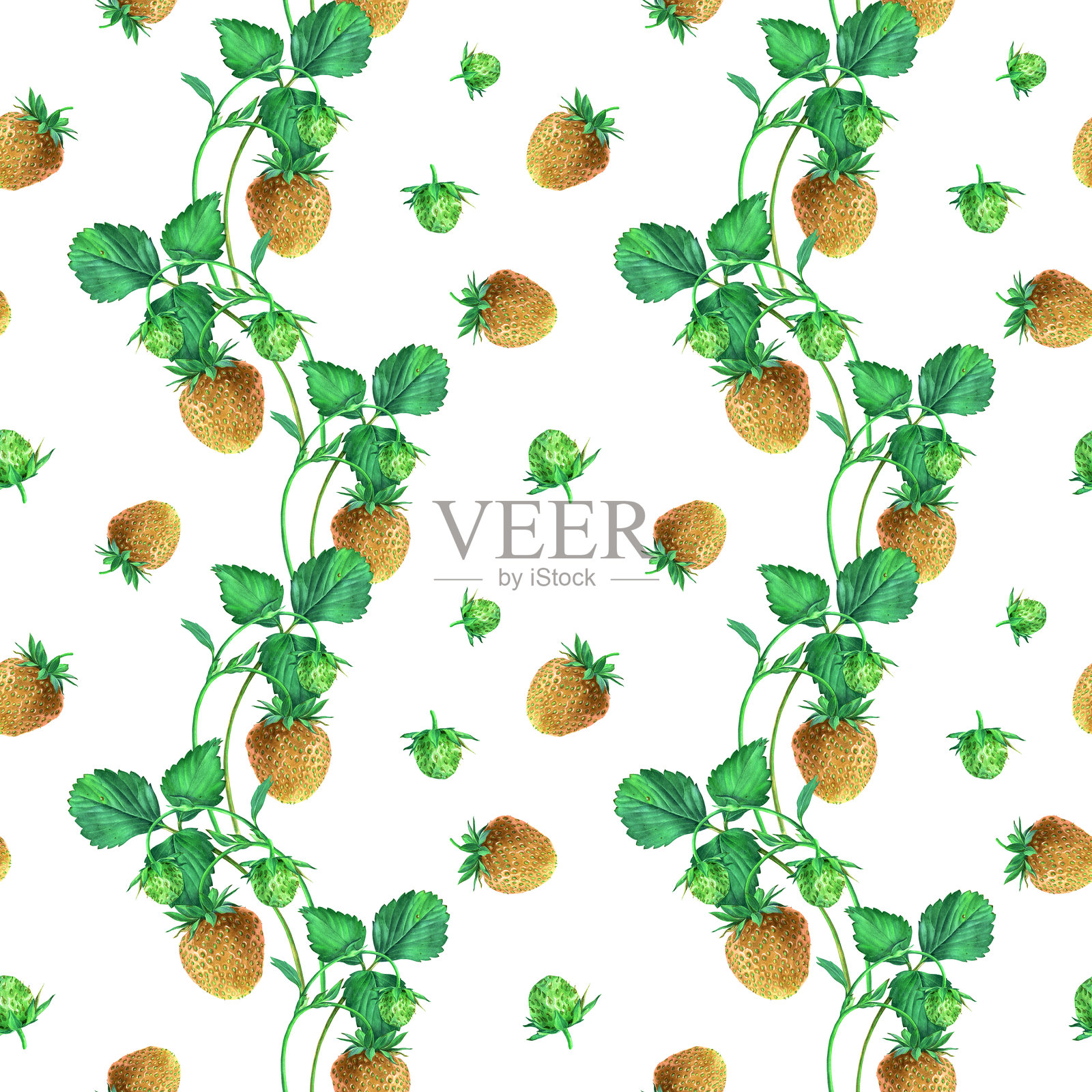 水彩无缝草莓图案。草莓花园，植物插图，灌木和浆果的图案。插画图片素材