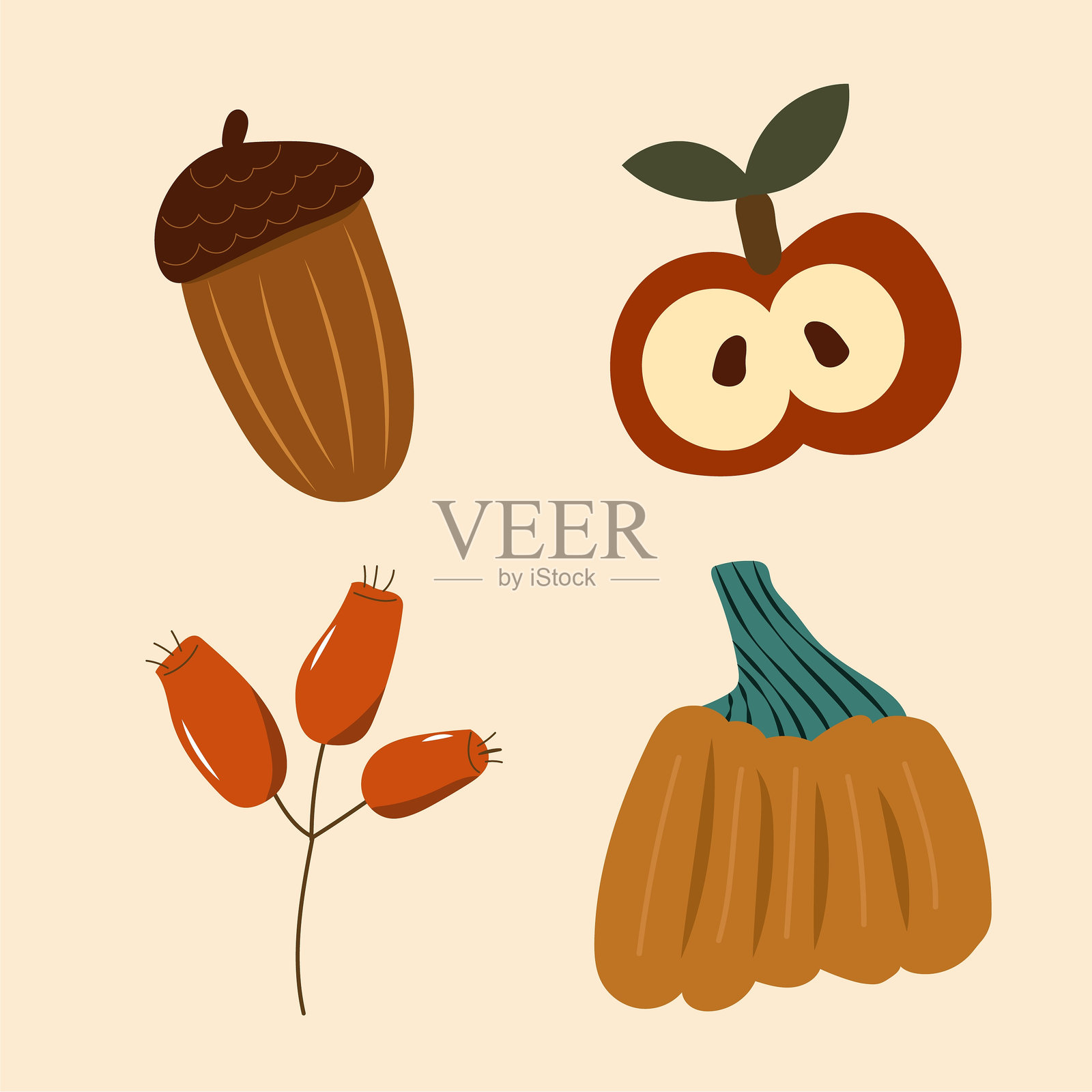 温馨的感恩节插图，包含橡果、南瓜、浆果和苹果。插画图片素材